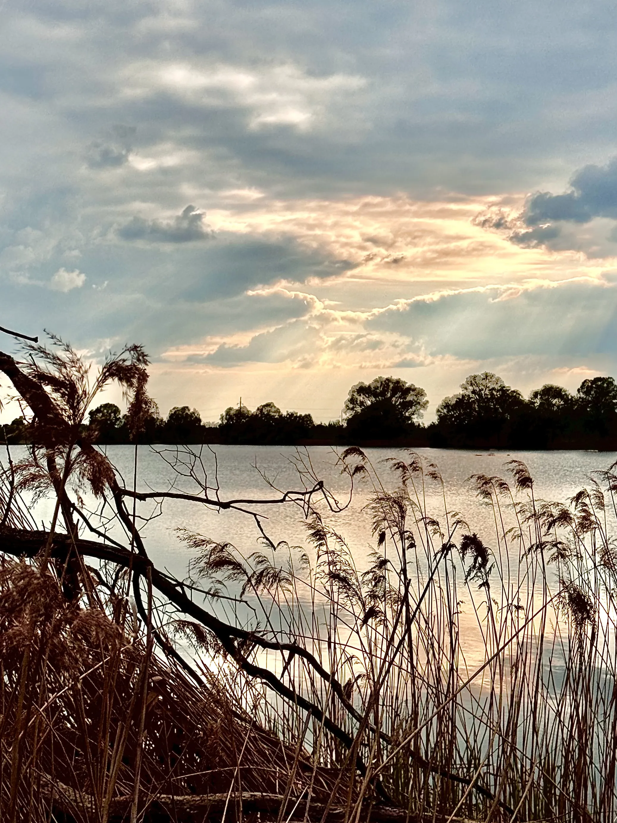 В дали от суеты