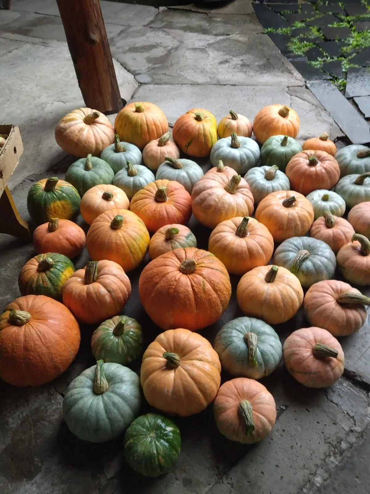 Тыквенное настроение