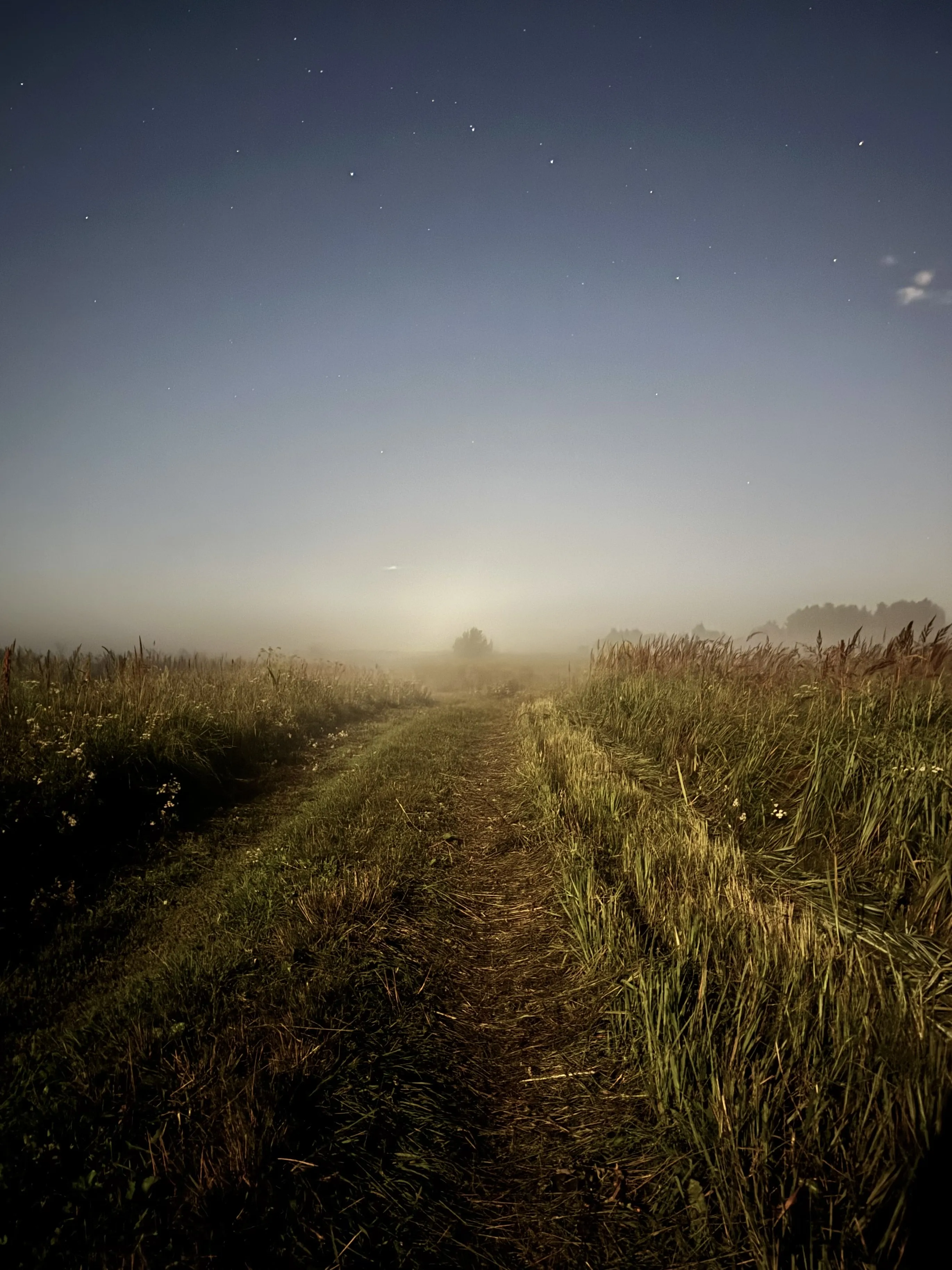 Ночь в родном краю