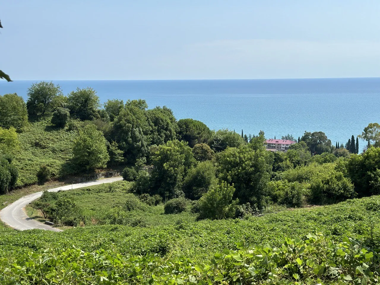 Глазами Сталина