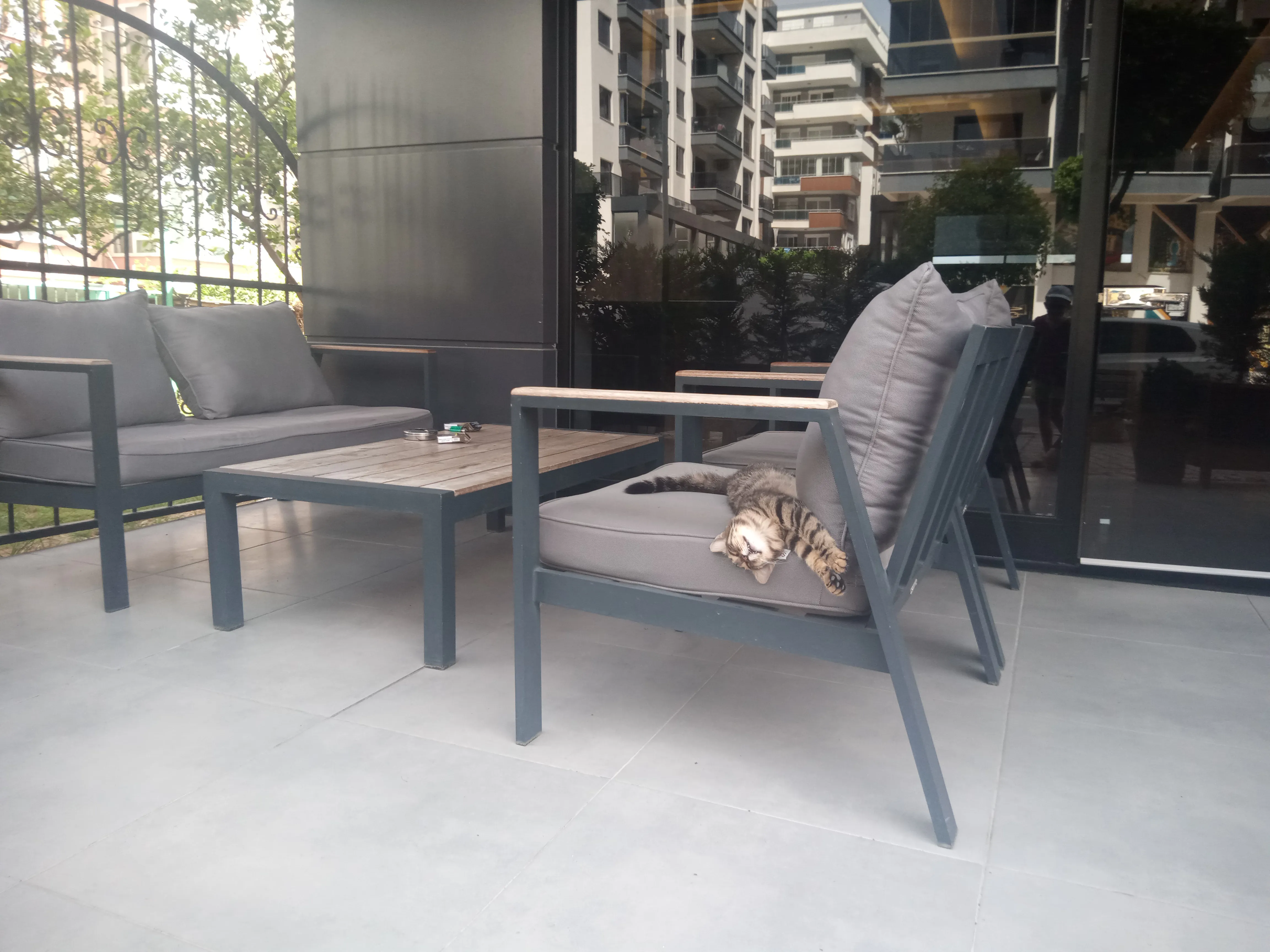 Кошка в кафе