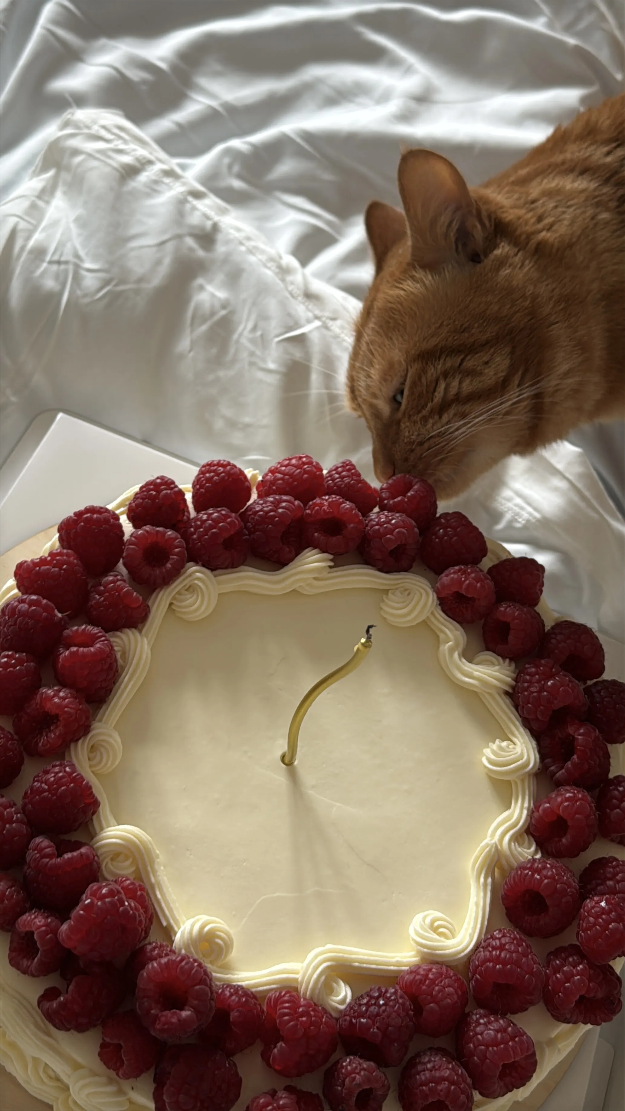 Поймал момент за хвост