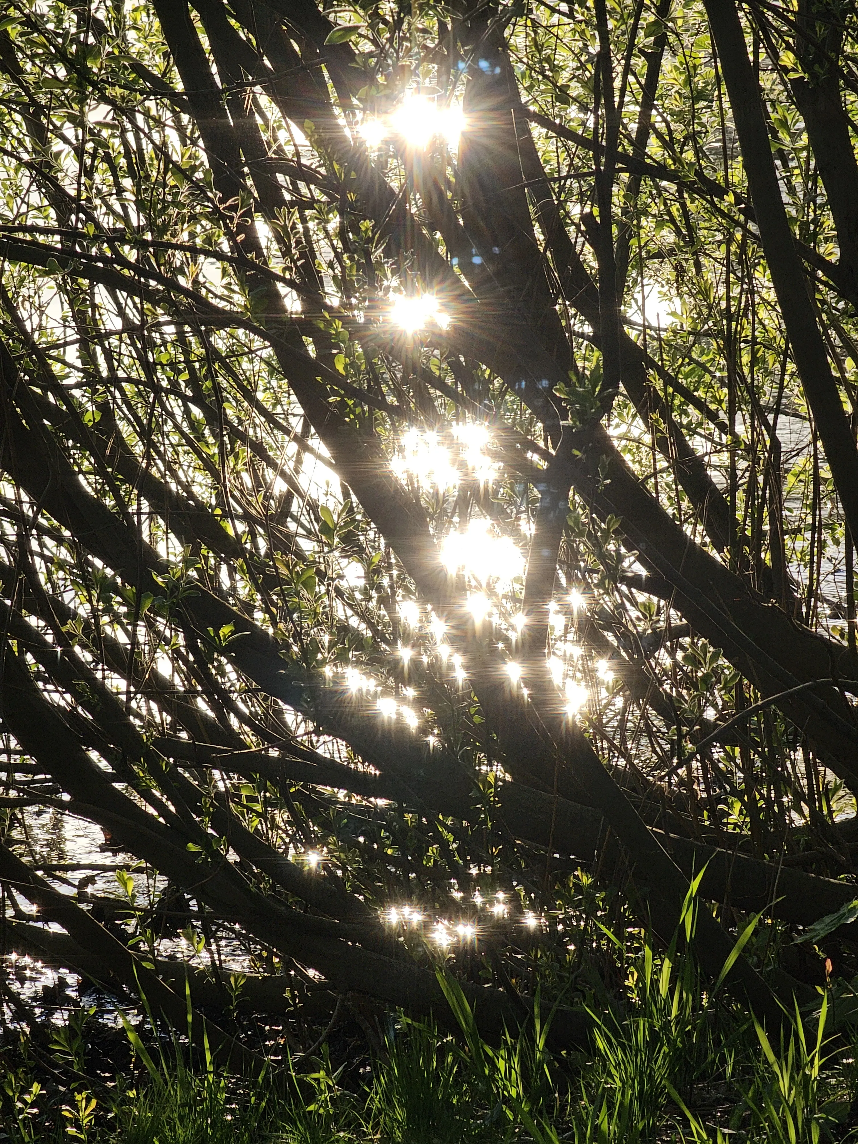 Момент сияния