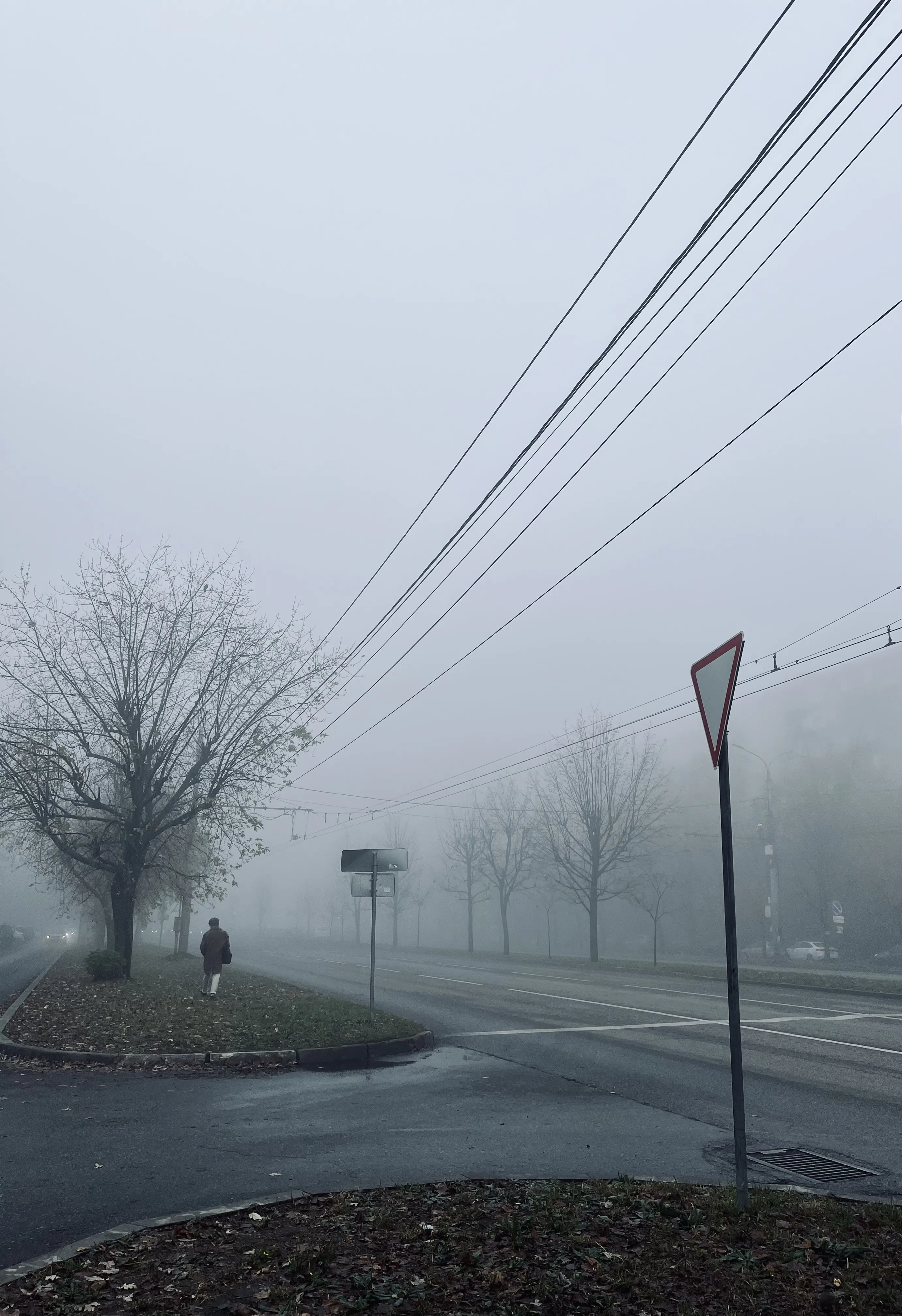 Одним туманным утром