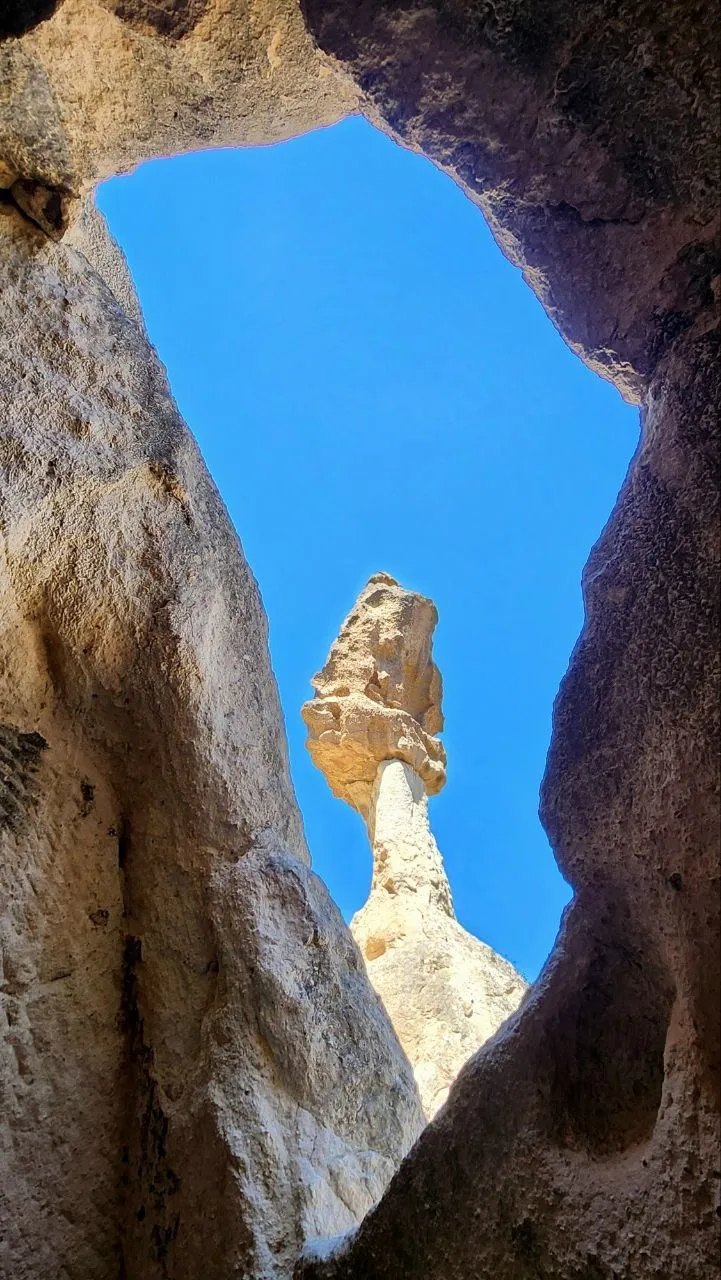 ..а из нашего окна...