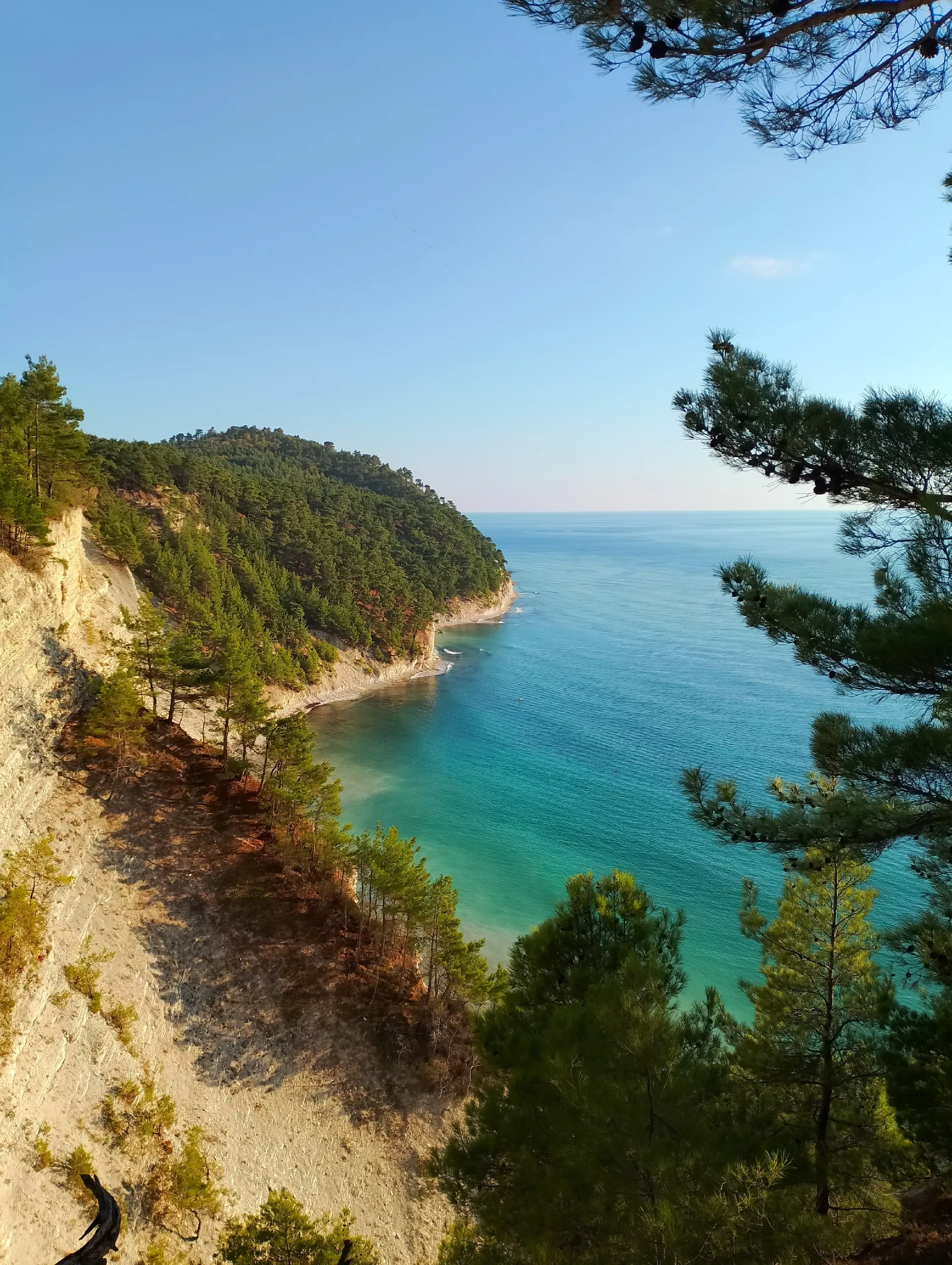 До мечты один шаг