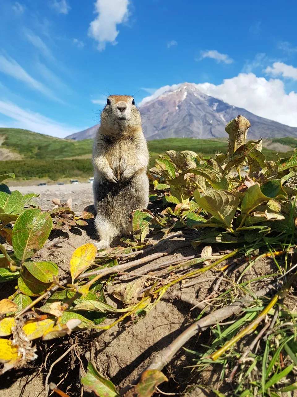 В объективе жизнь