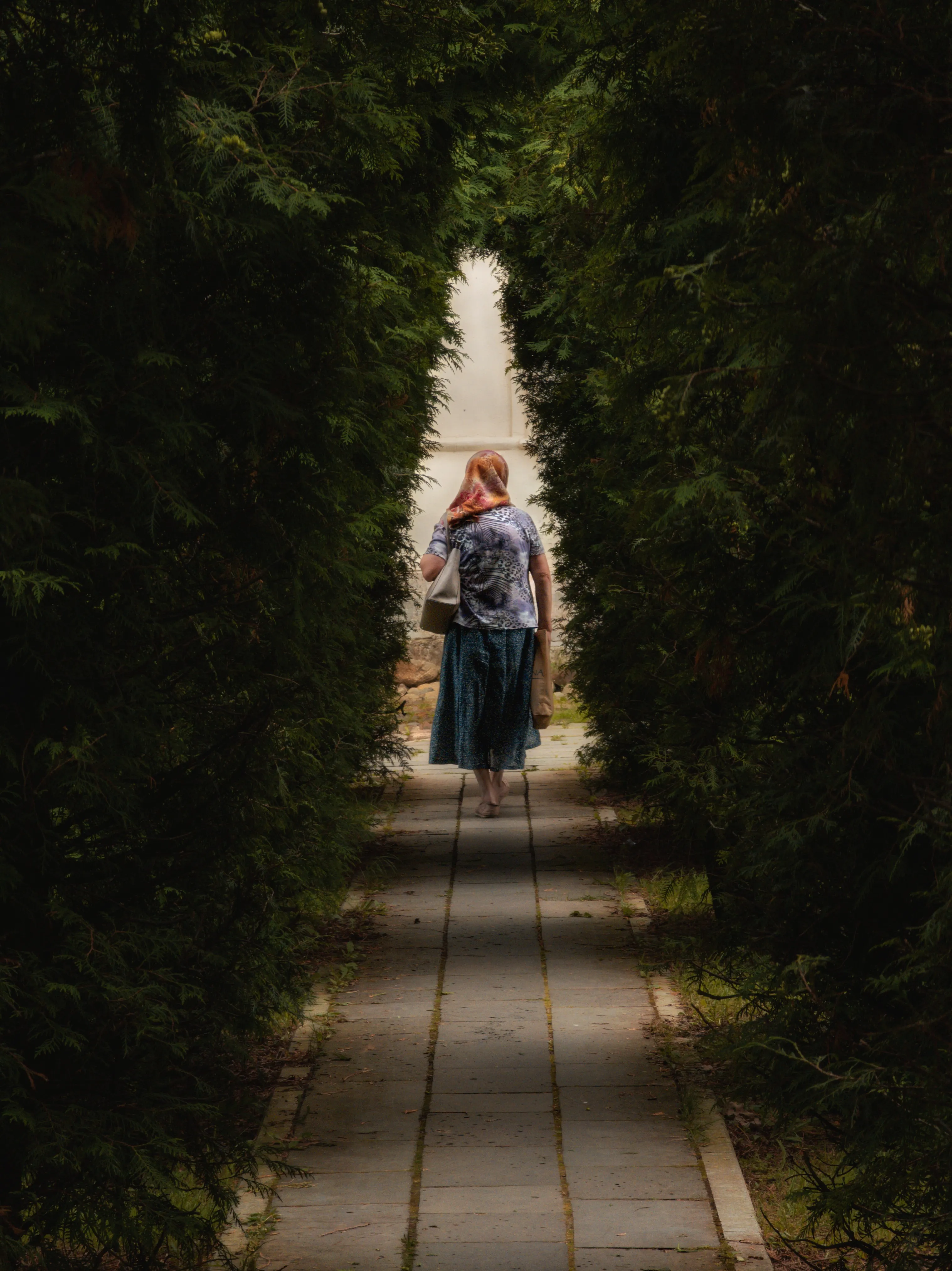 Навстречу свету