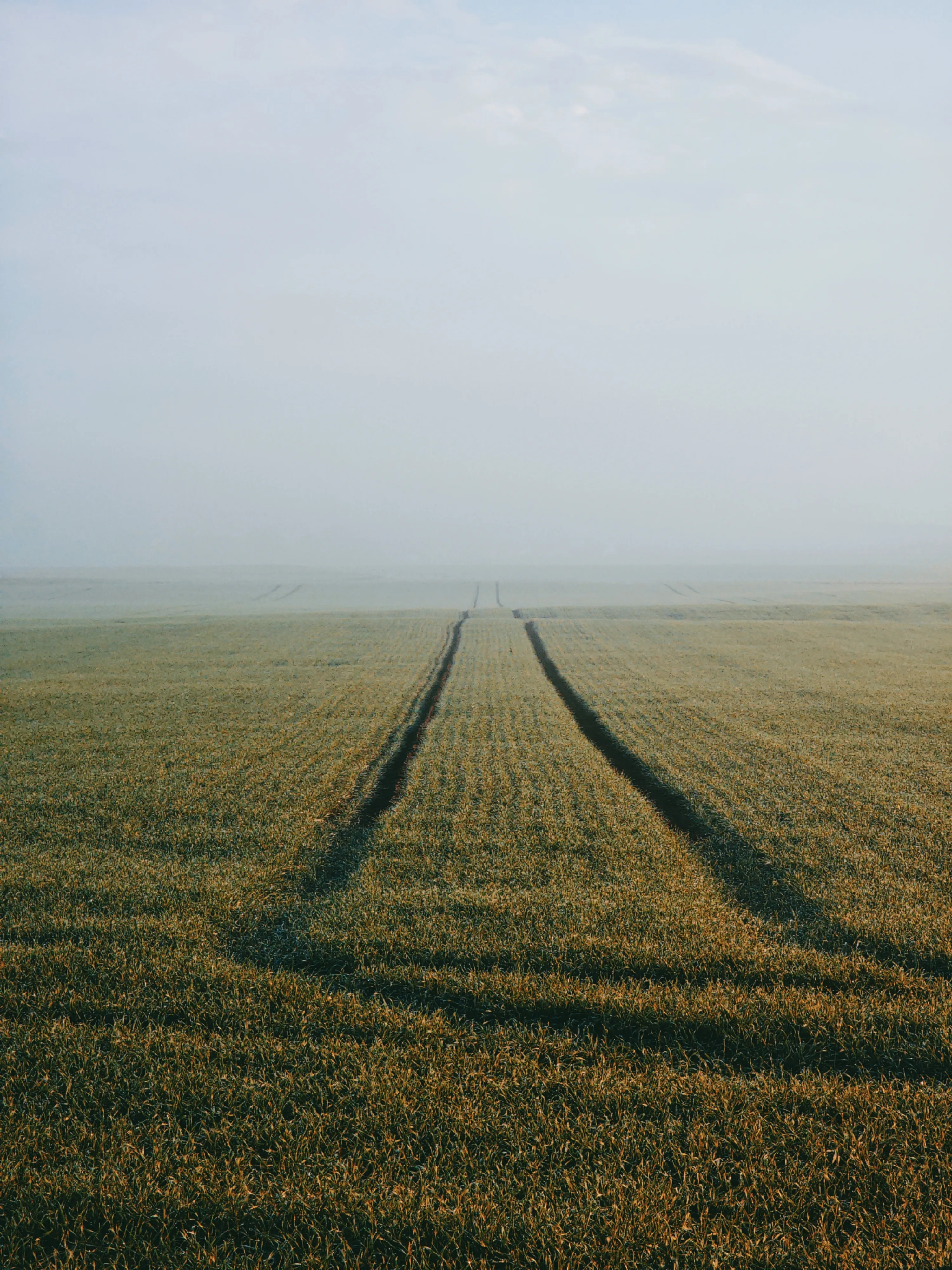 Дорога в туман