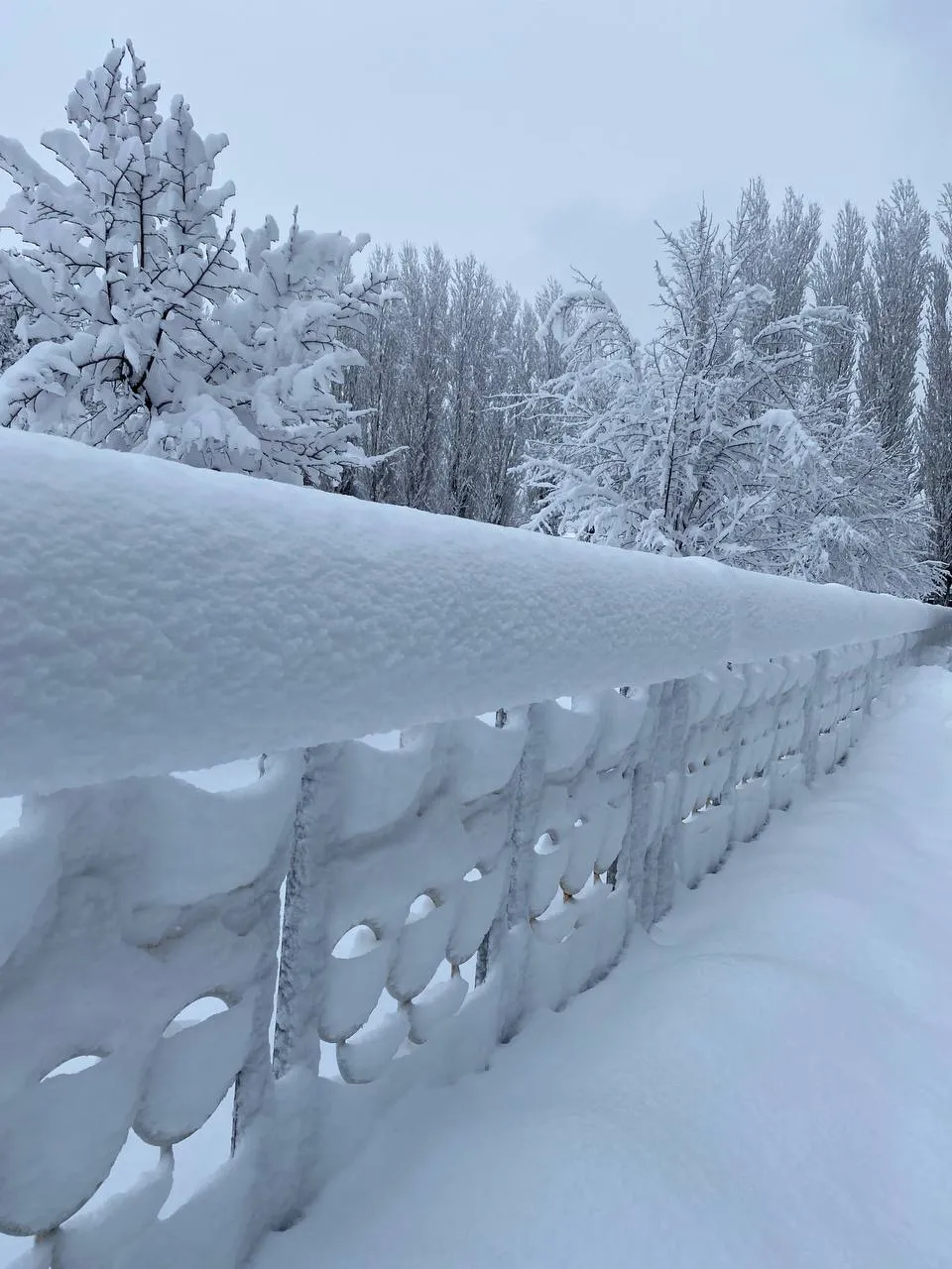 «Тишина,окутанная снегом»