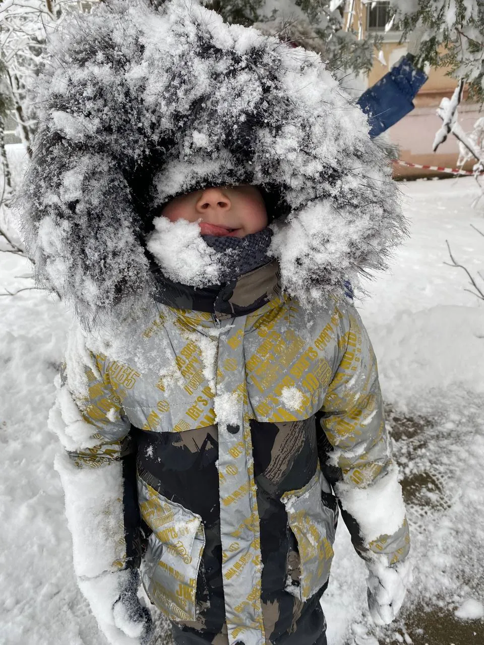 «Вкус зимы»