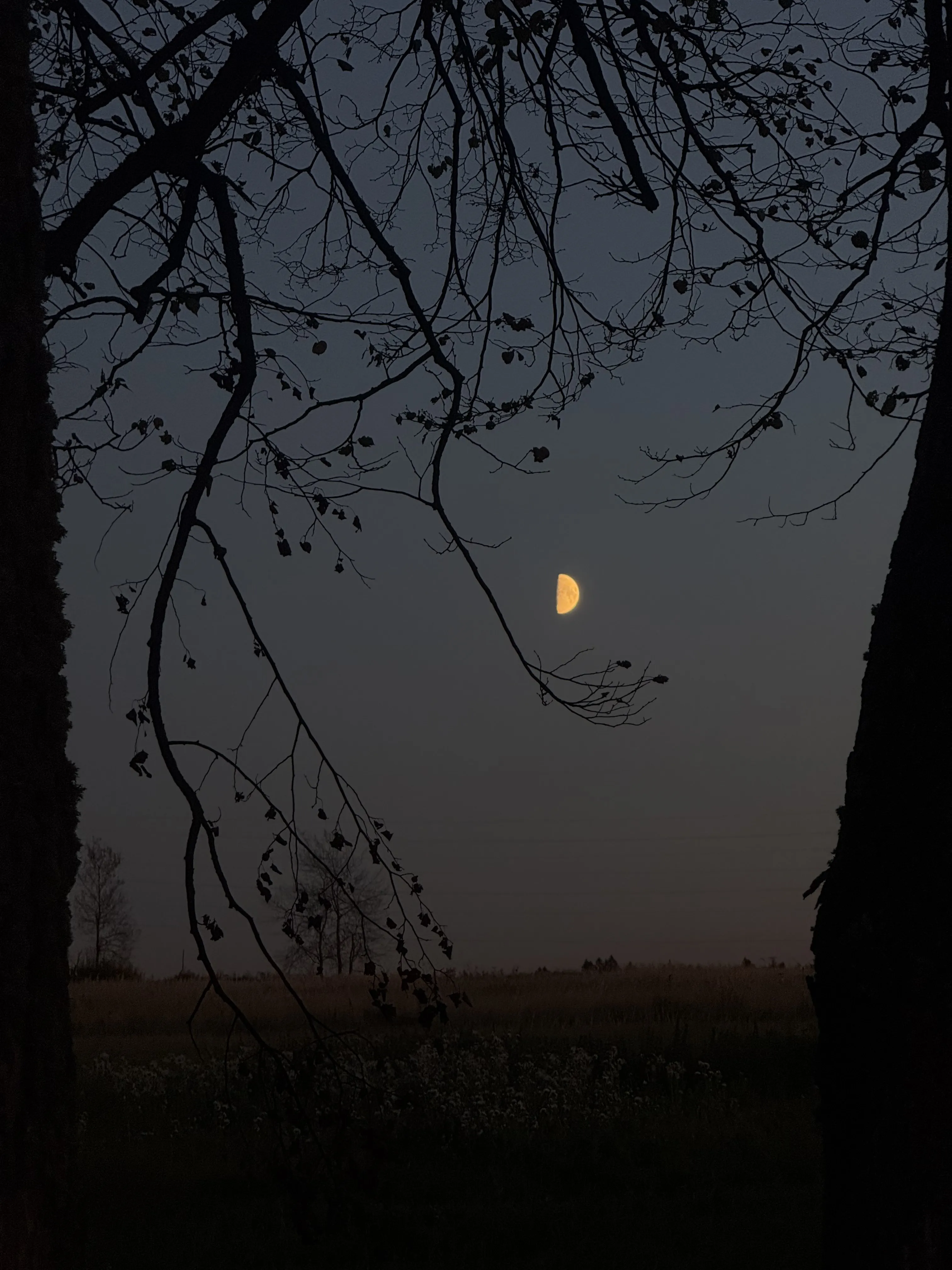 Приглашение