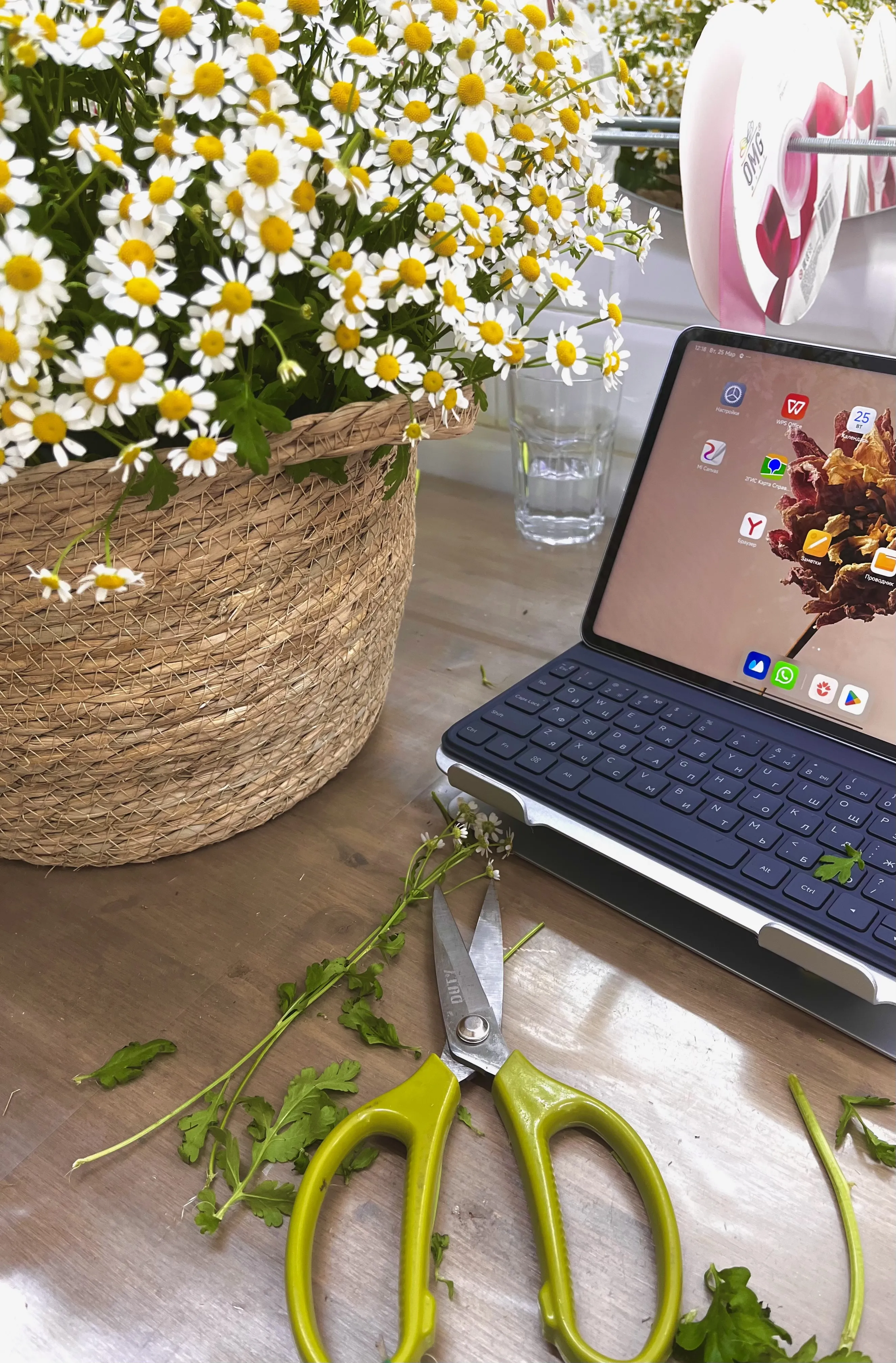 Ромашка = любовь