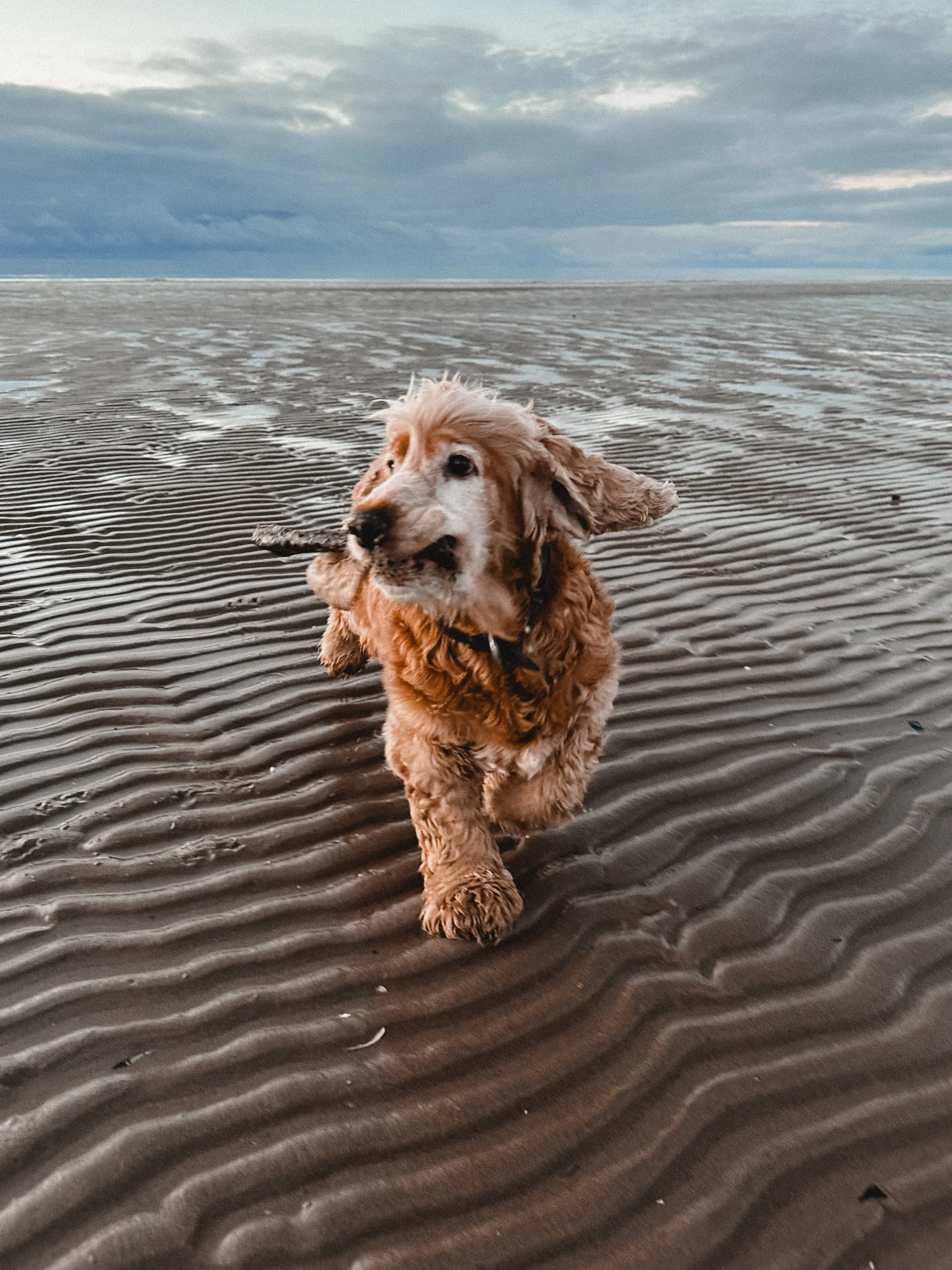 Счастье в моменте