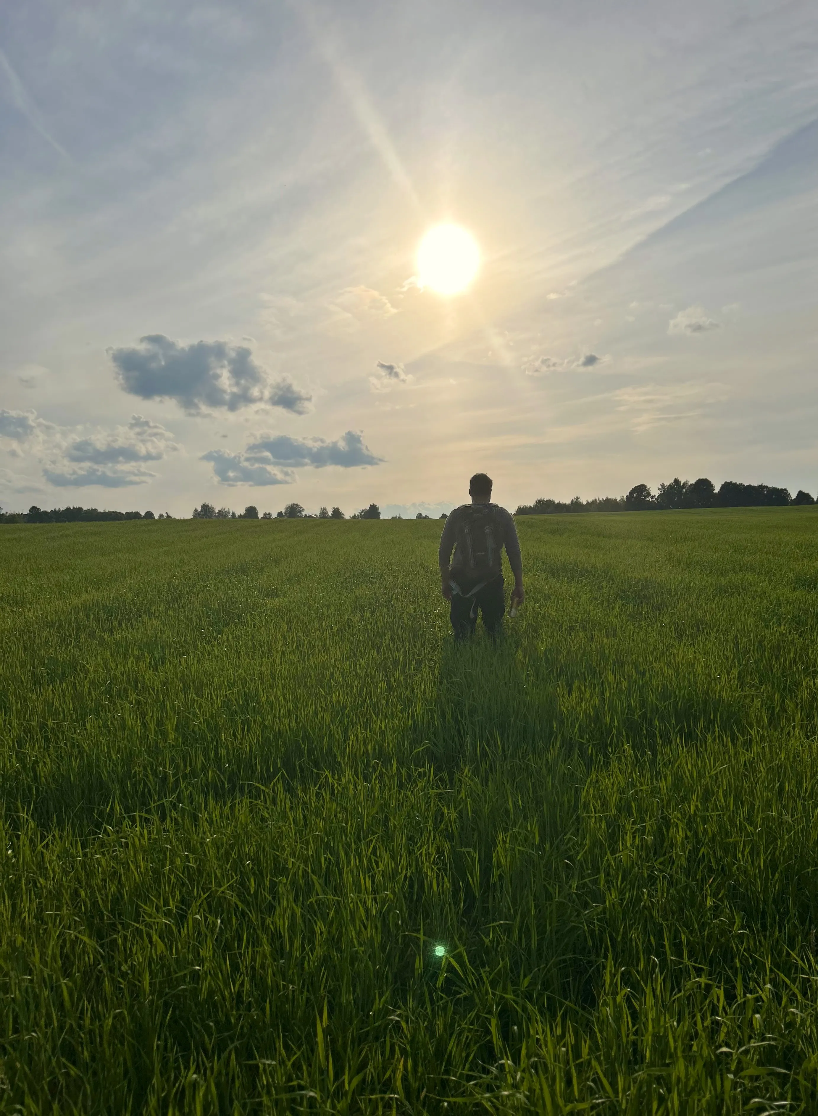 Навстречу солнцу