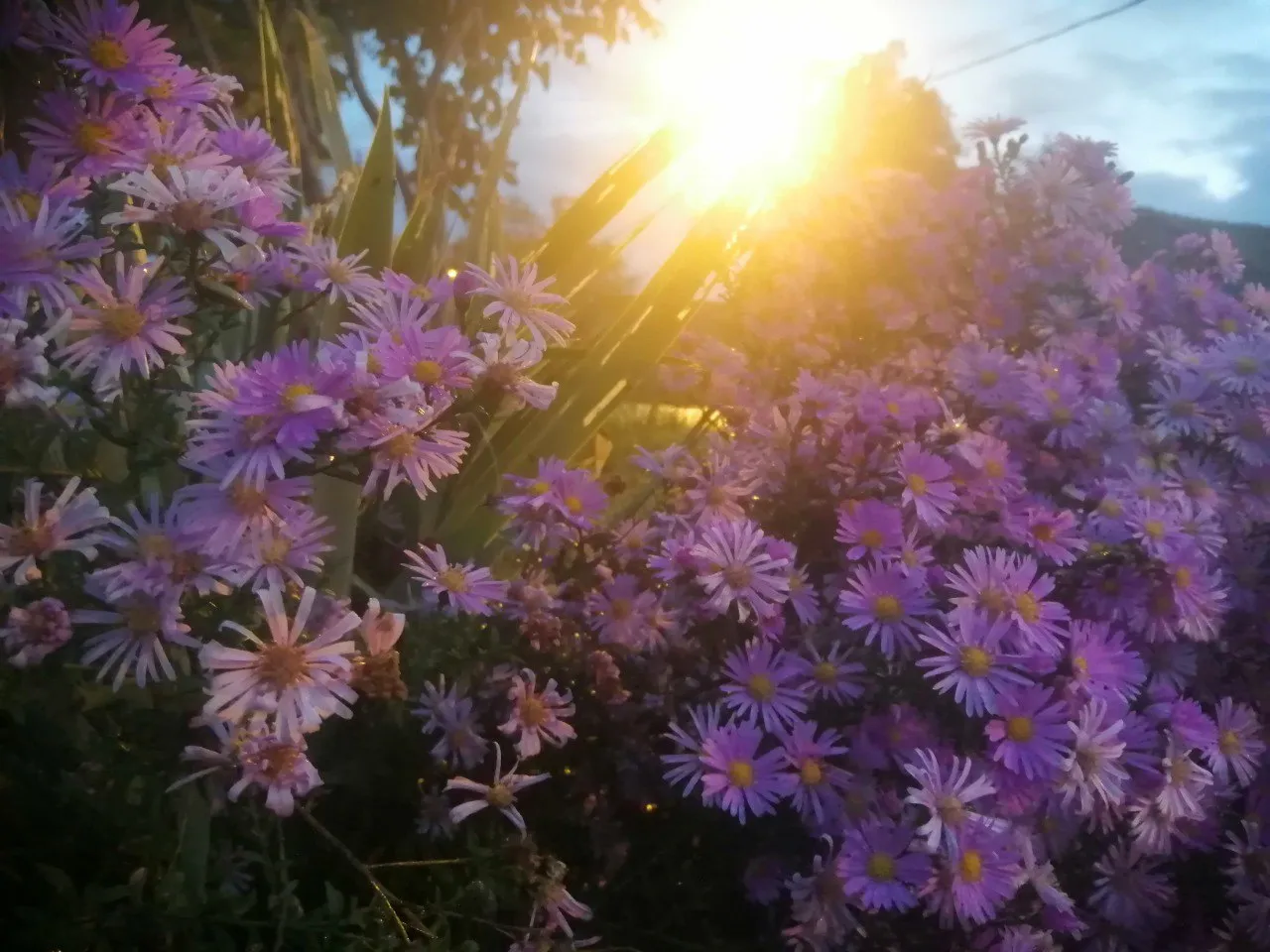 Цветной мир