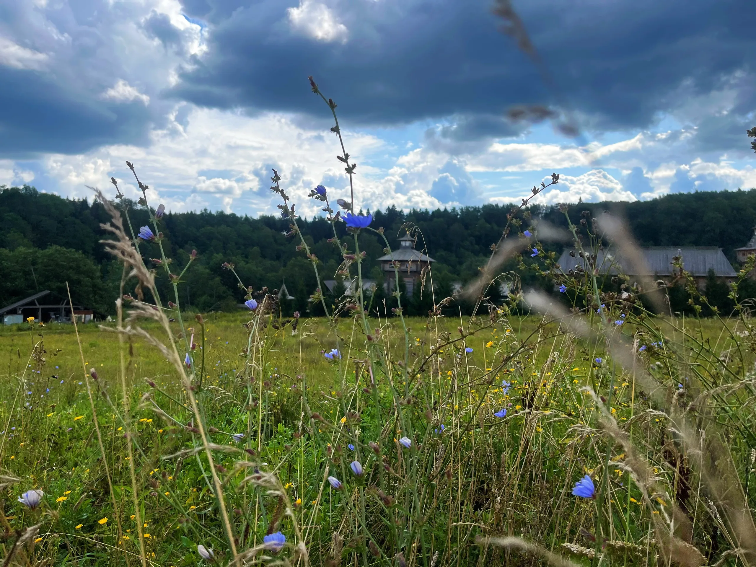 Вдали от толпы и суеты. Очарование летнего дня.