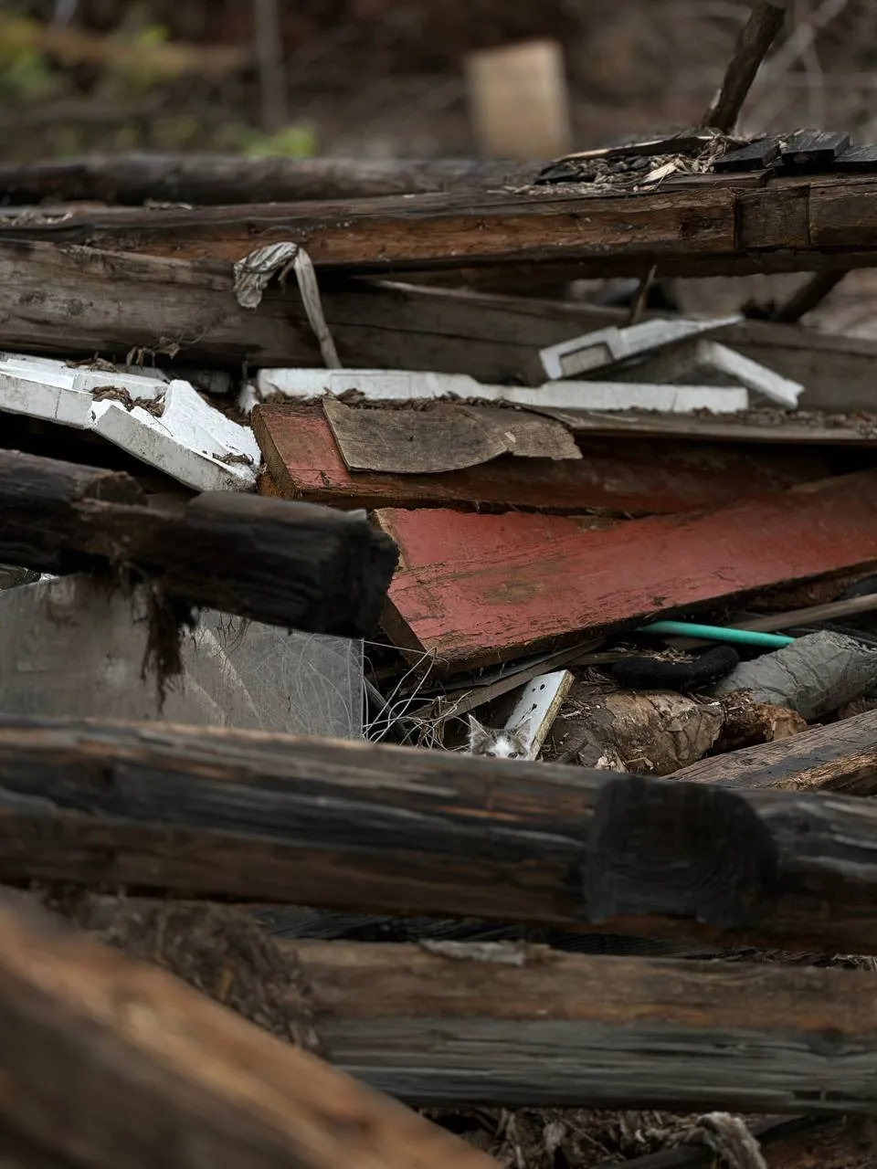 Маленький воин