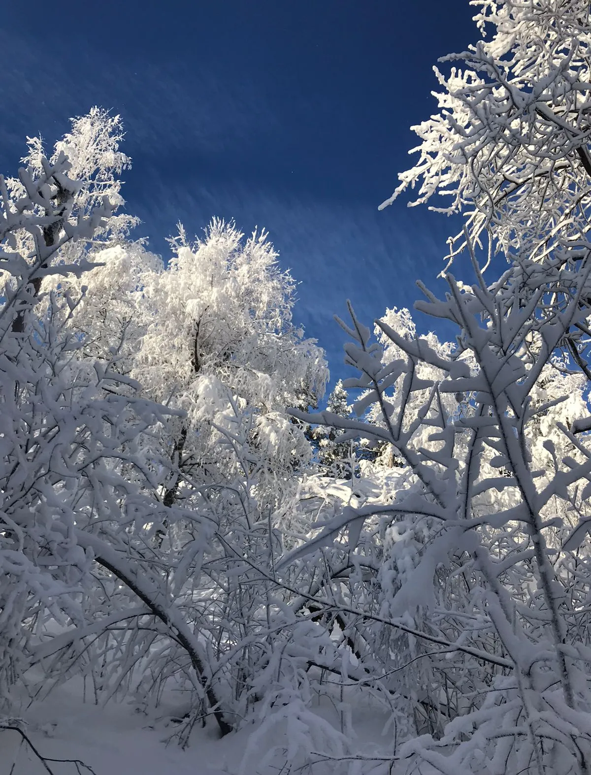 Сказочная зима