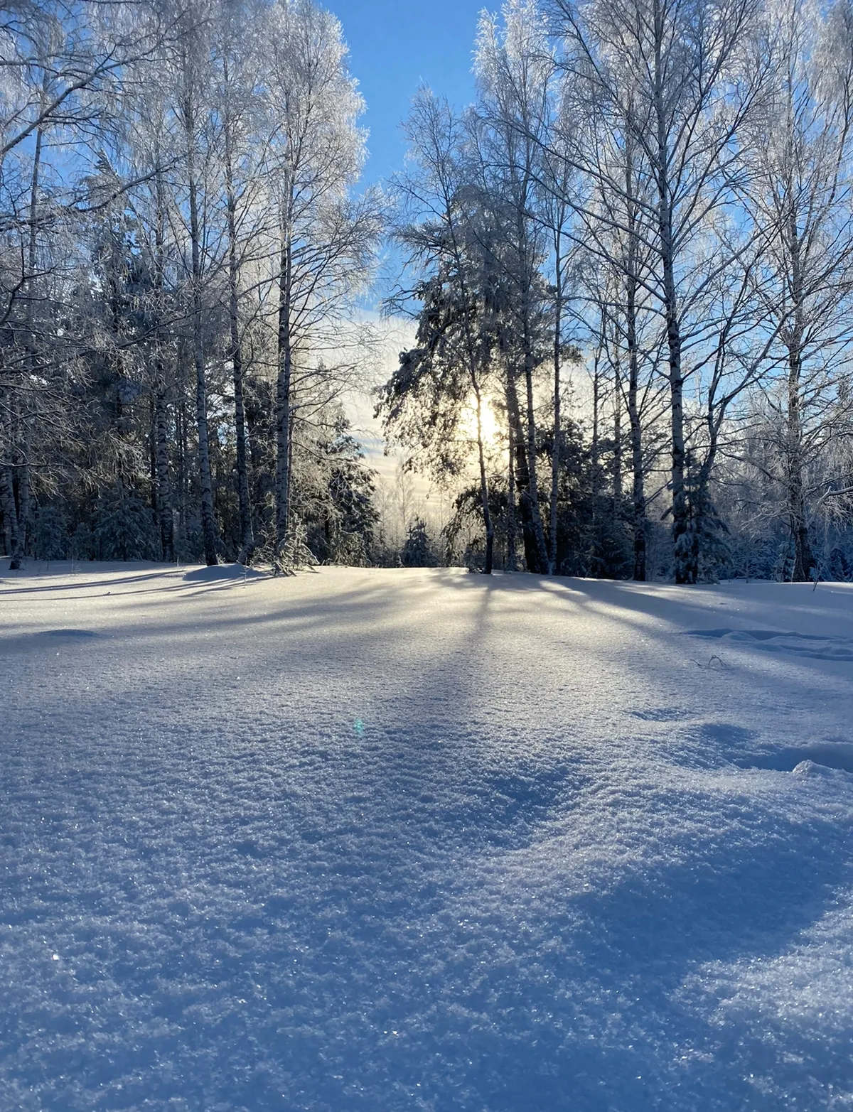 Зимняя сказка