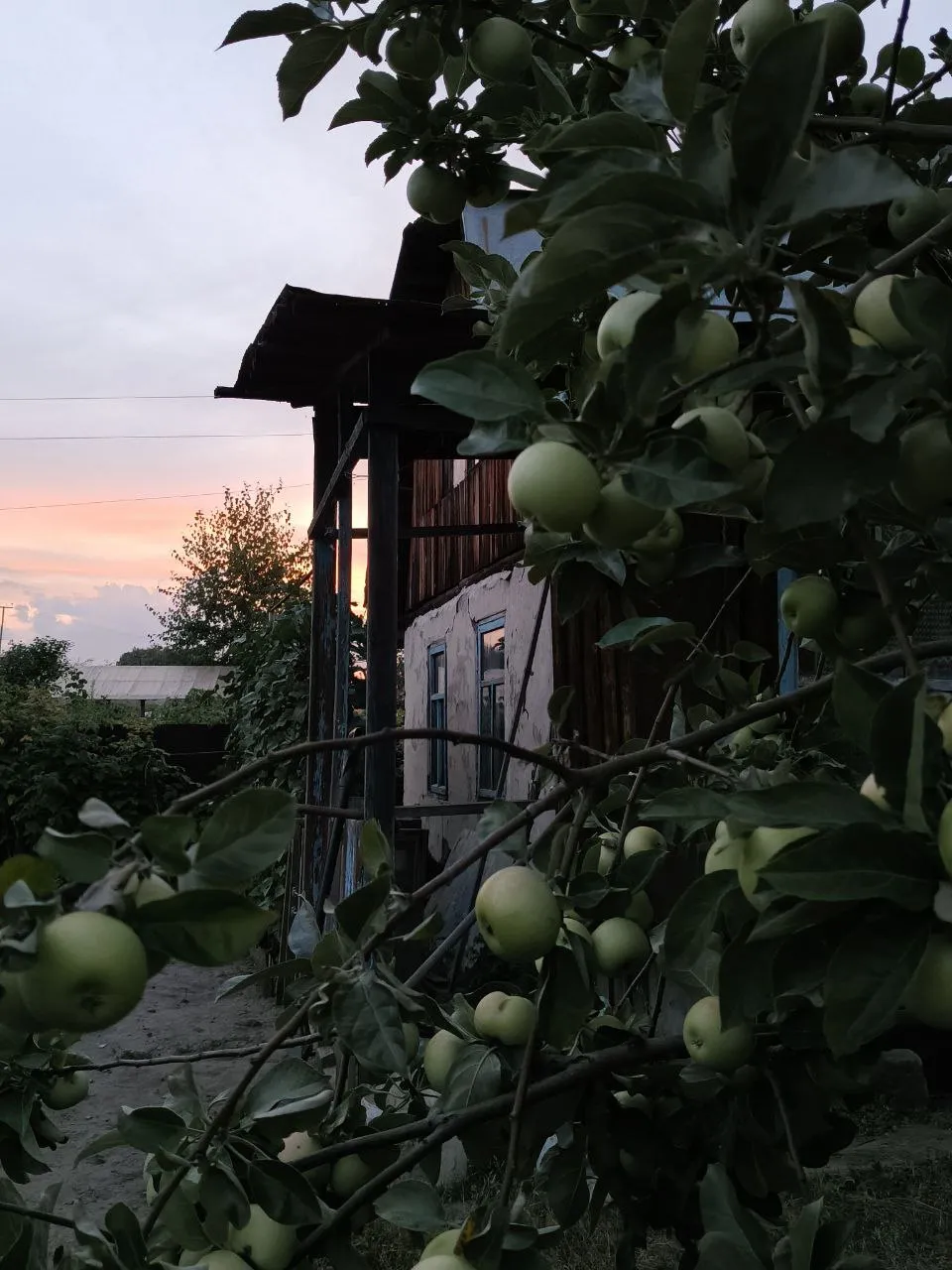 На даче у бабушки