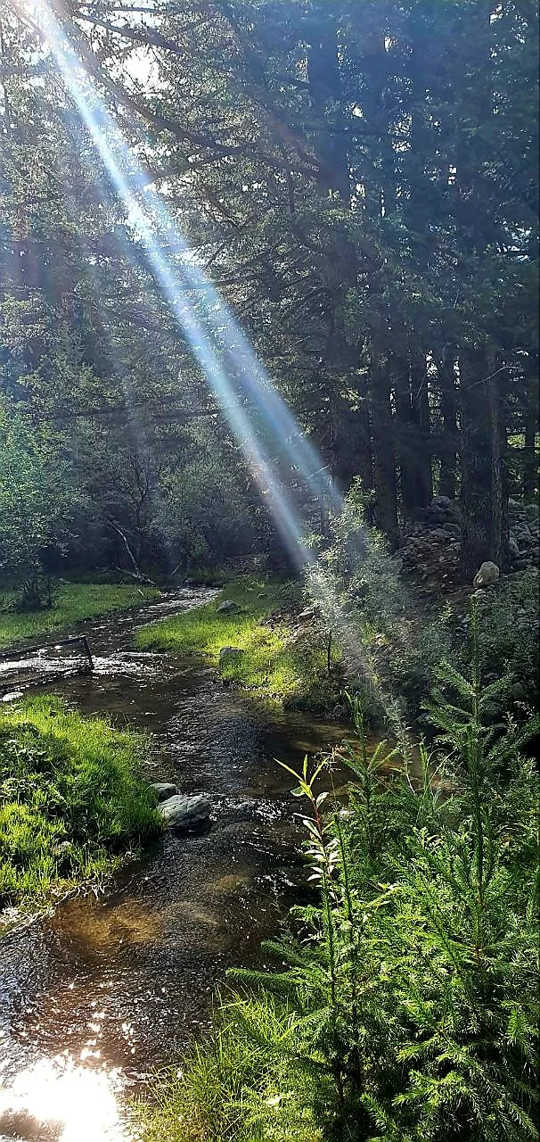 Прикосновение ангела