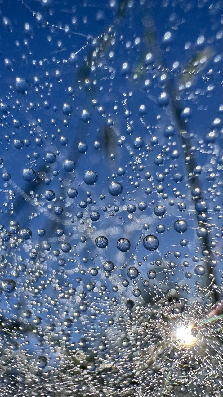 Серебряные нити