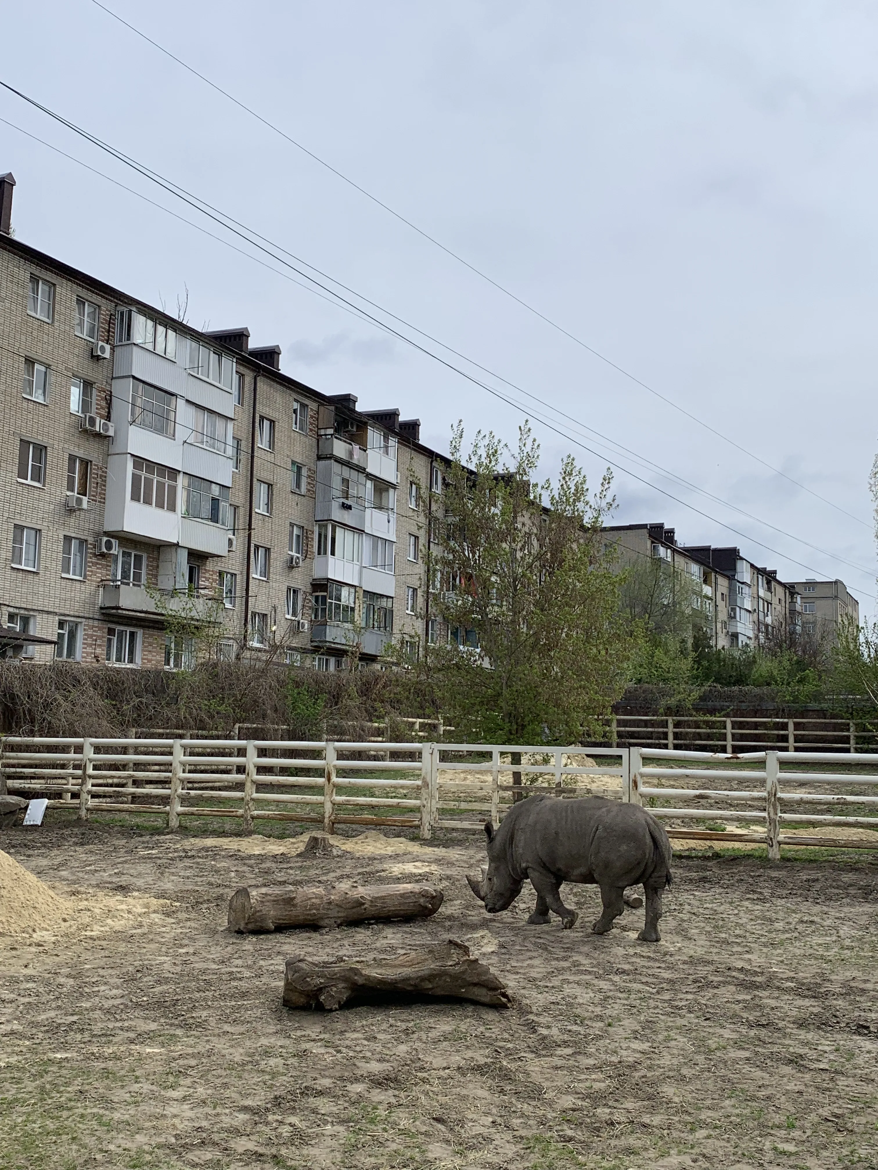 Он не заблудился