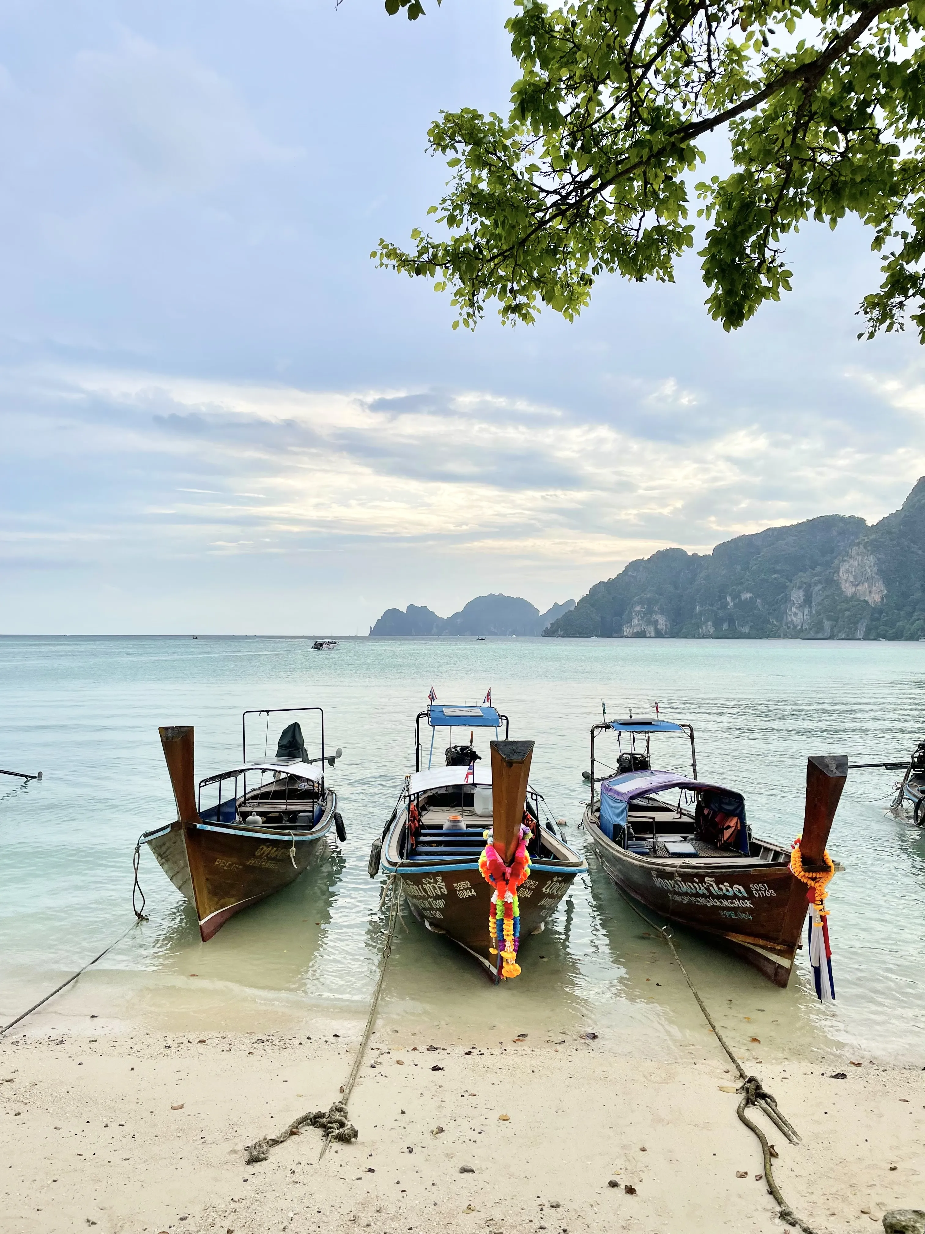 Там где тепло