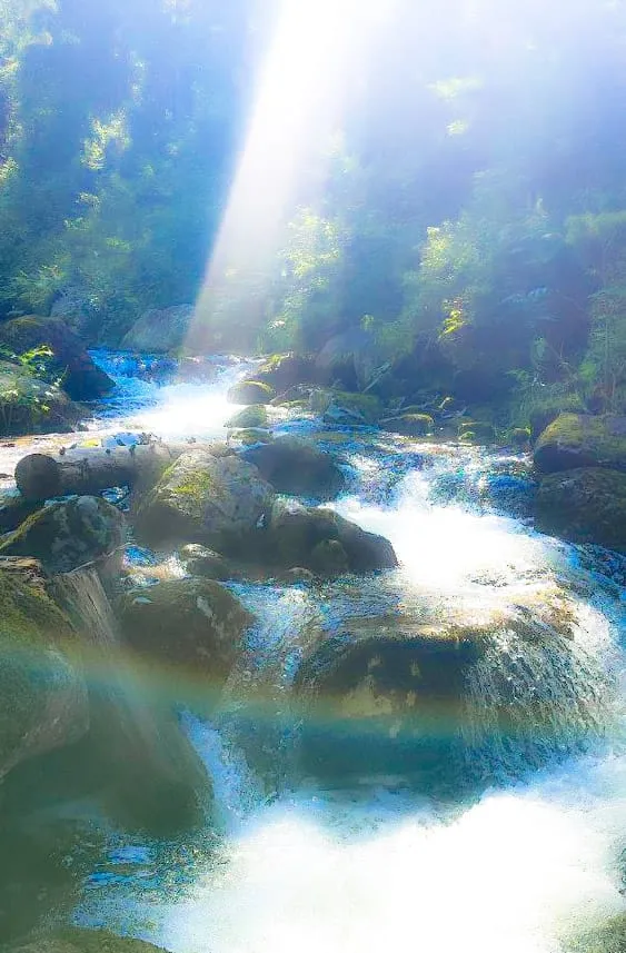 Через Курумы