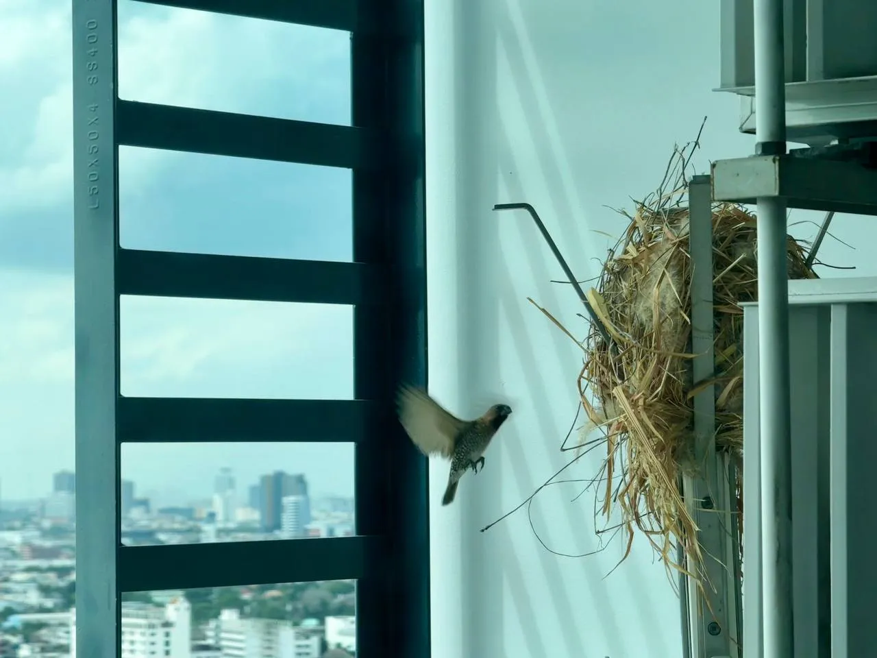 Возвращение