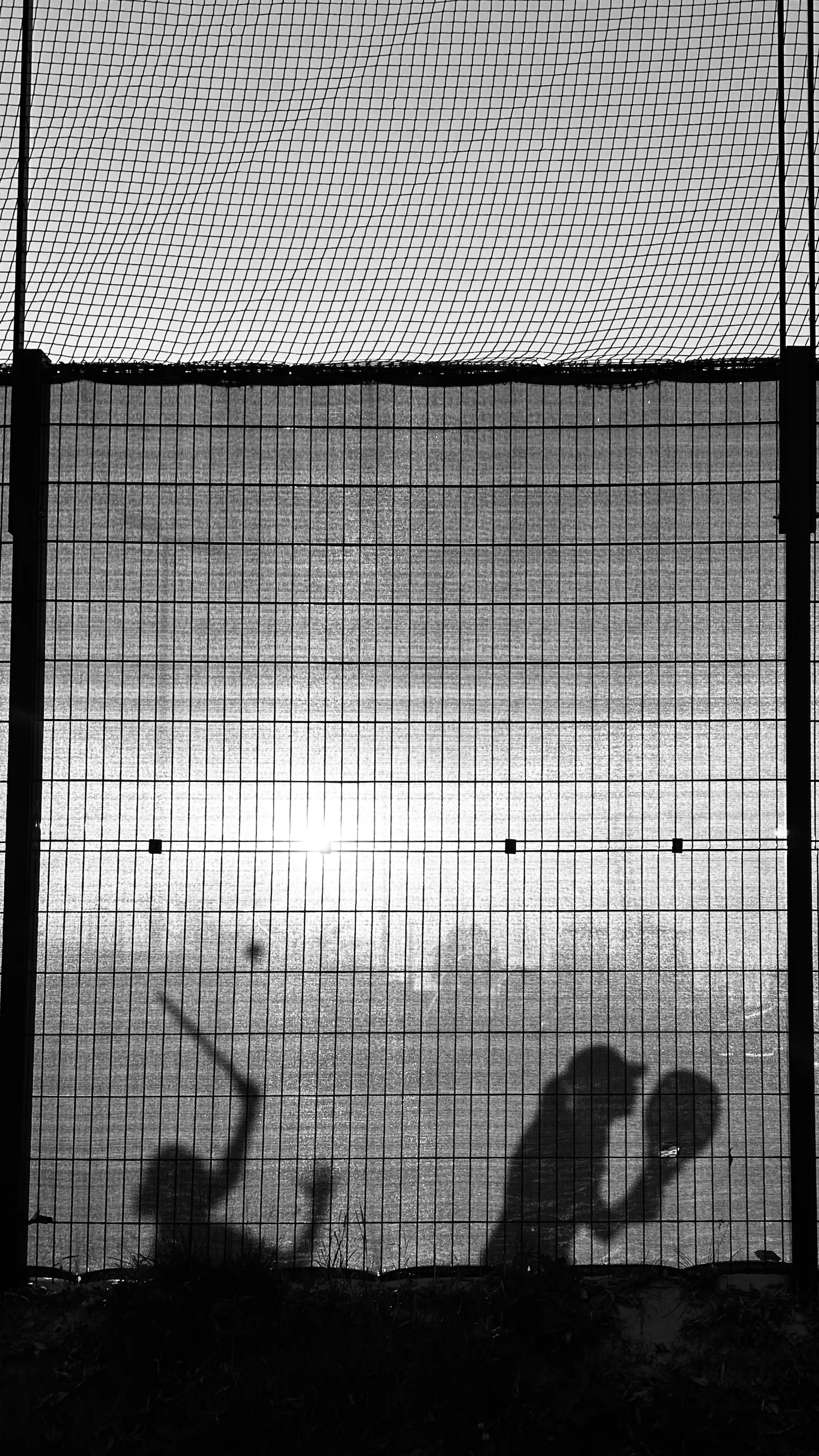 Большой теннис