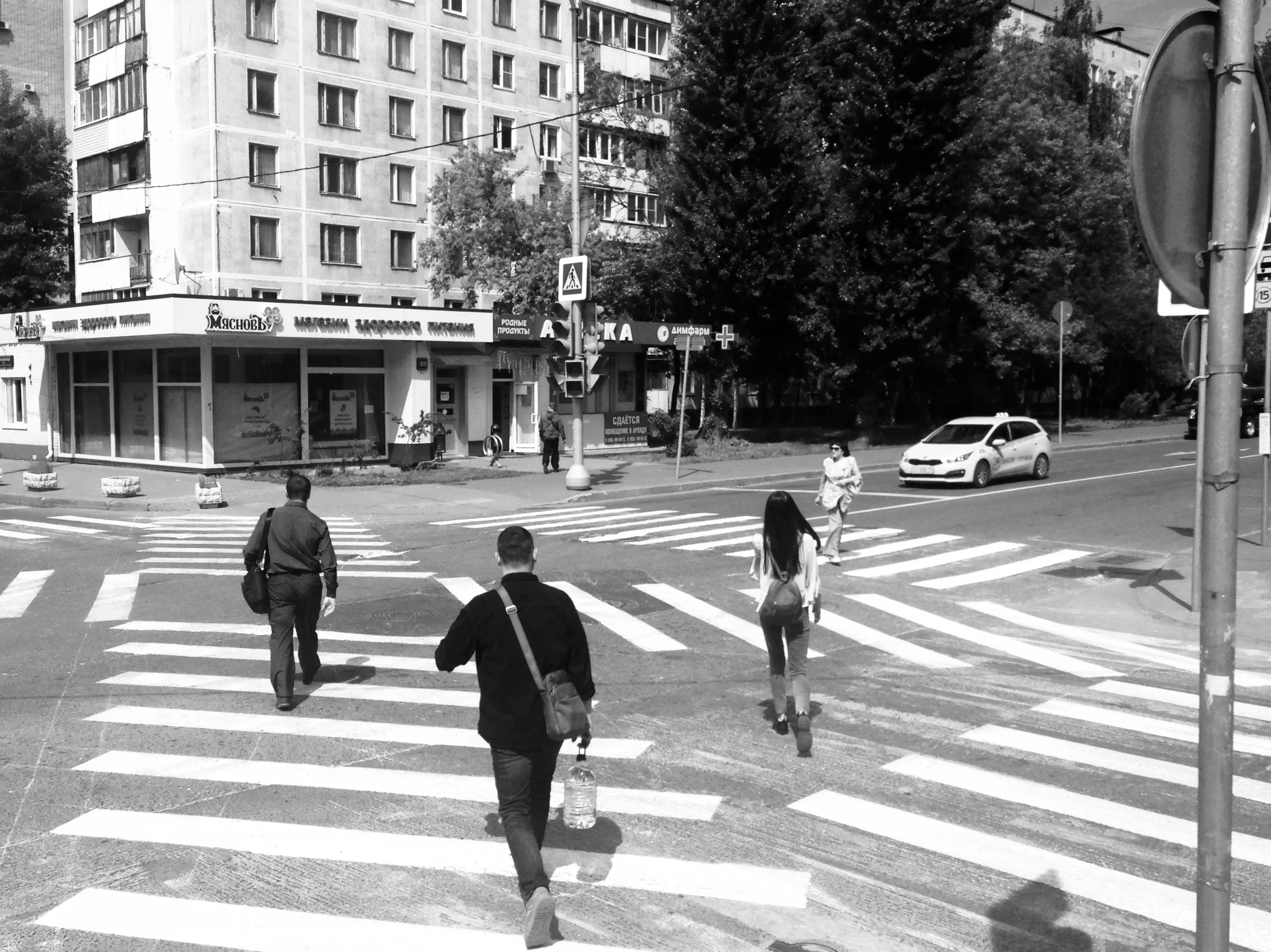 В поисках своей дороги