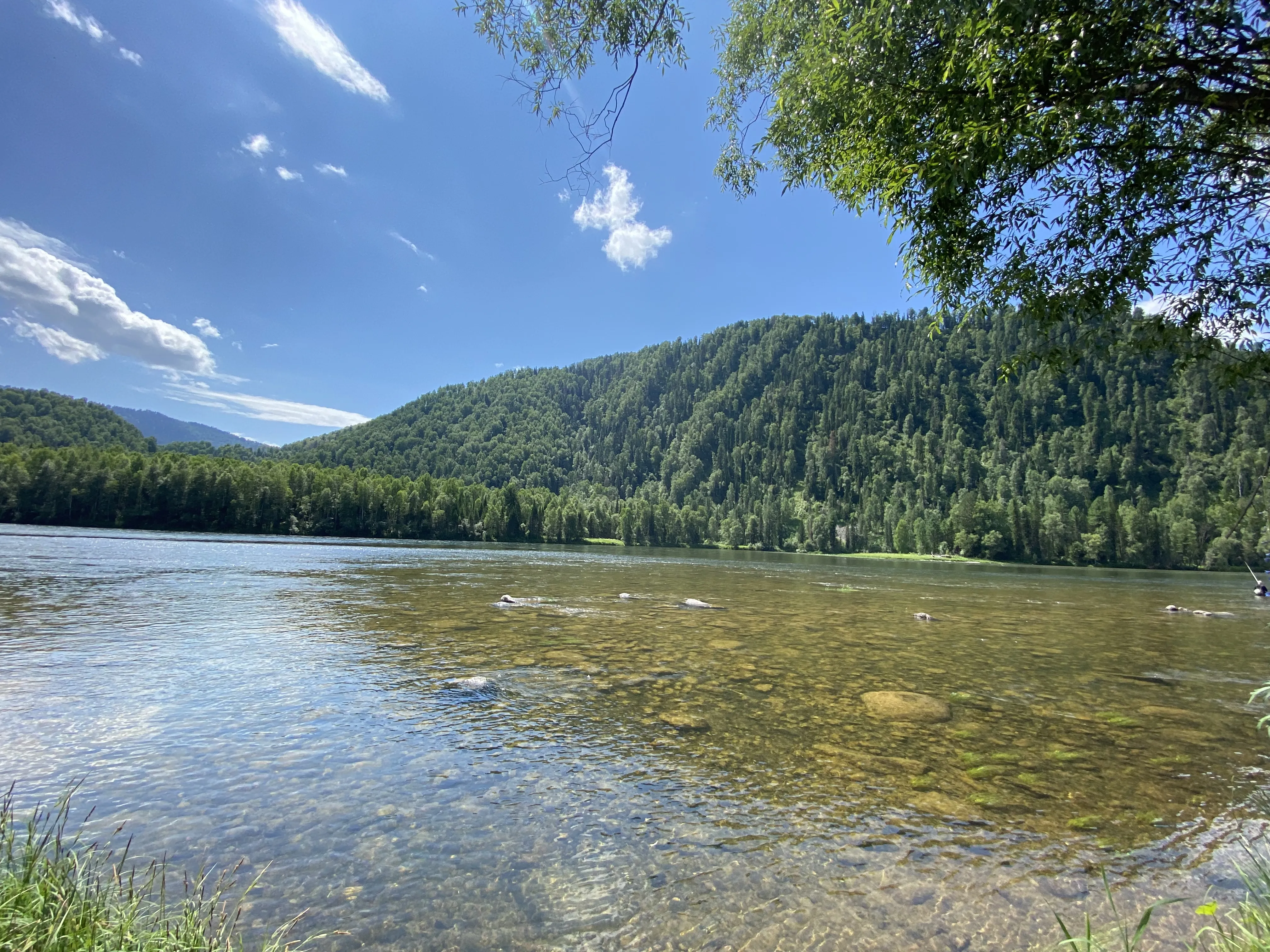 Таинственный Алтай