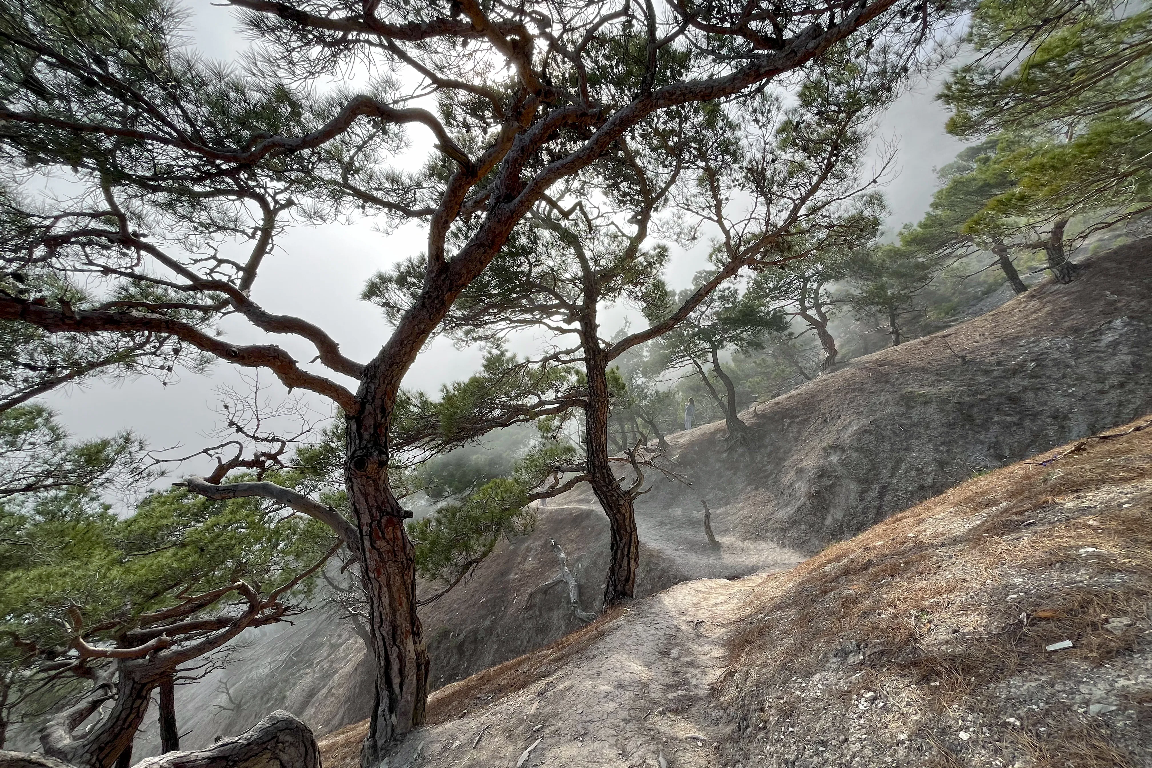 Туман на Колдуне