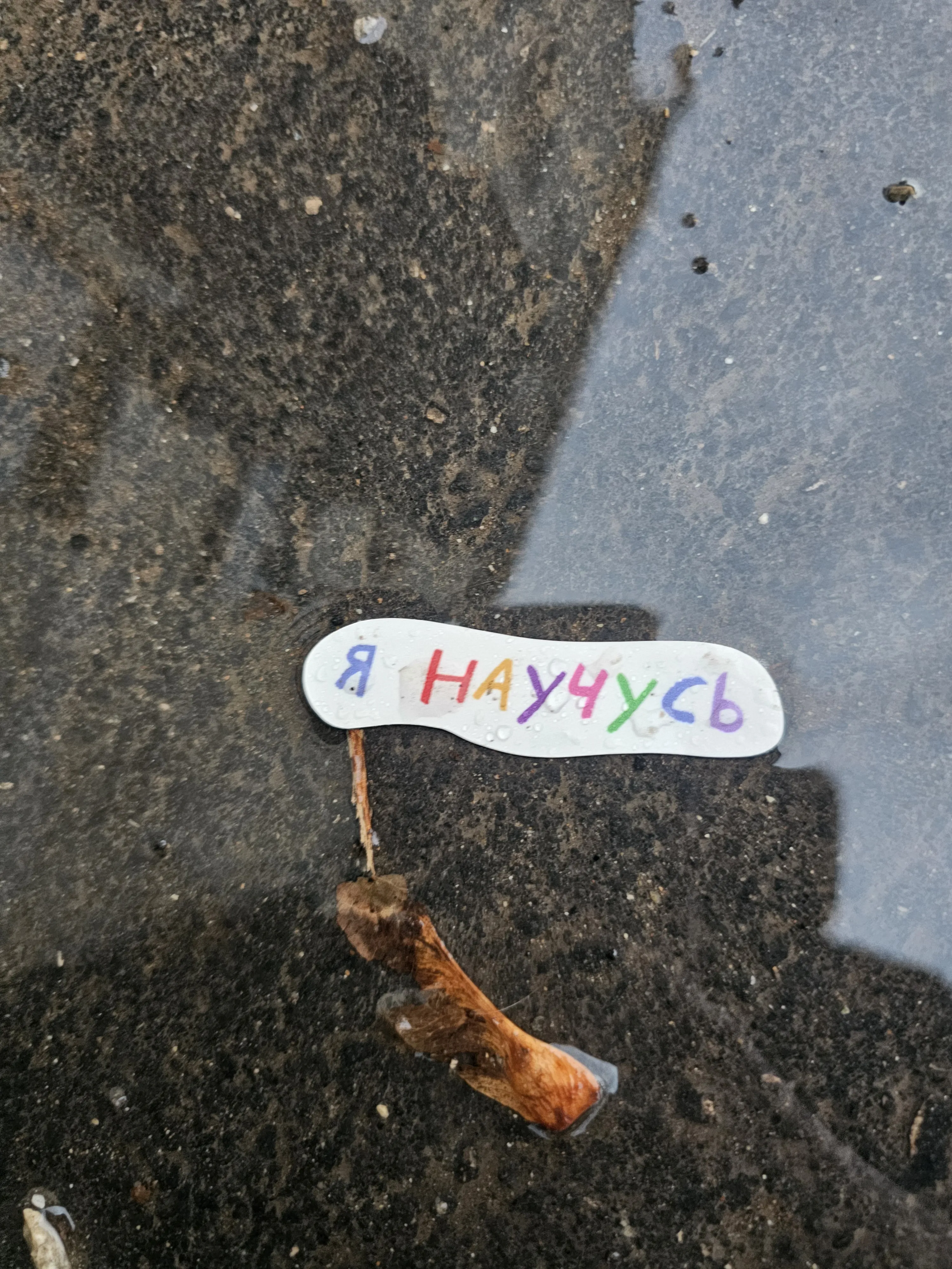 Маленькое обращение в большом мире