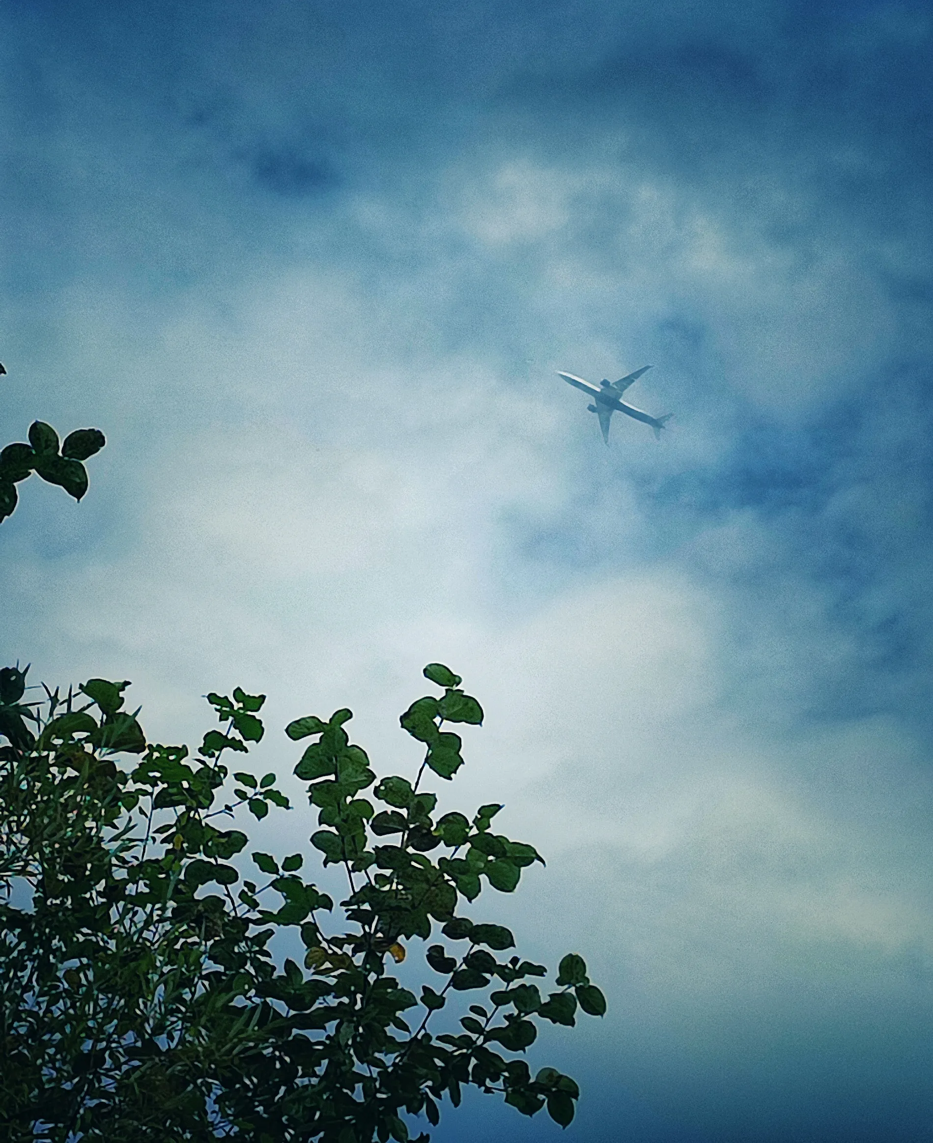 Мне бы в небо...