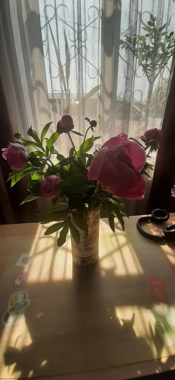 Мамина радость