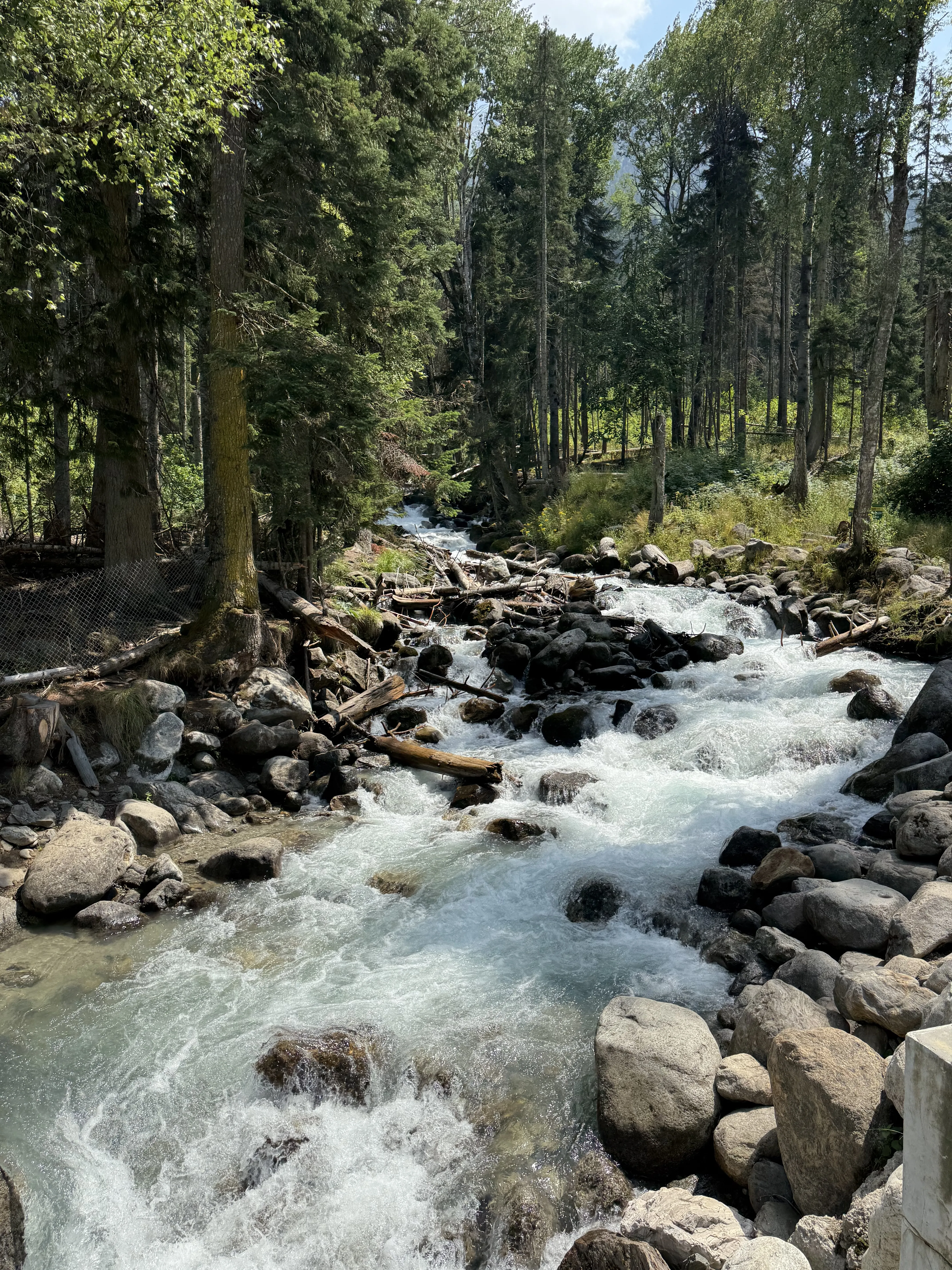 Природа нашей страны