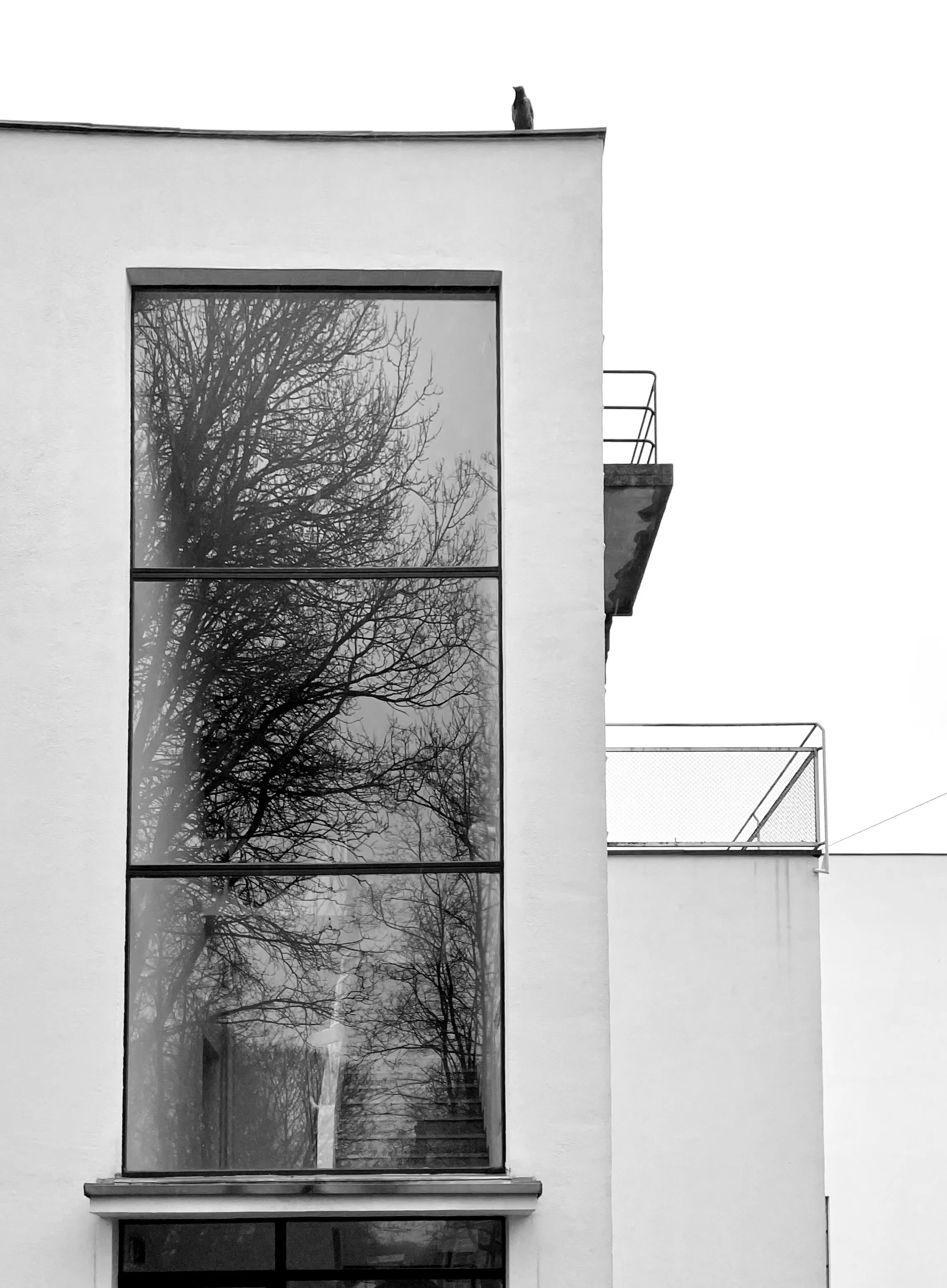 Библиотека