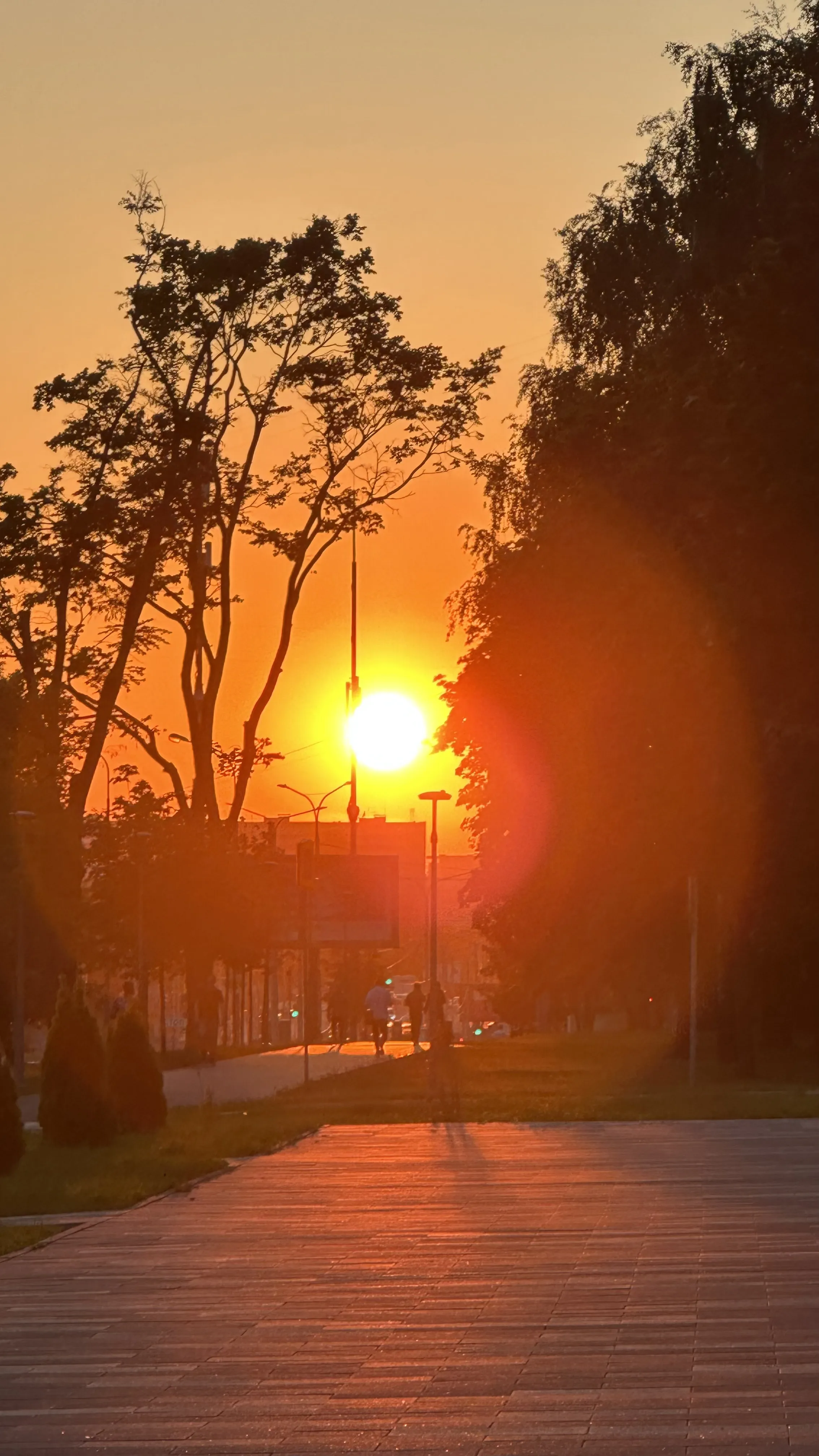 Оранжевое солнце, оранжевое небо!