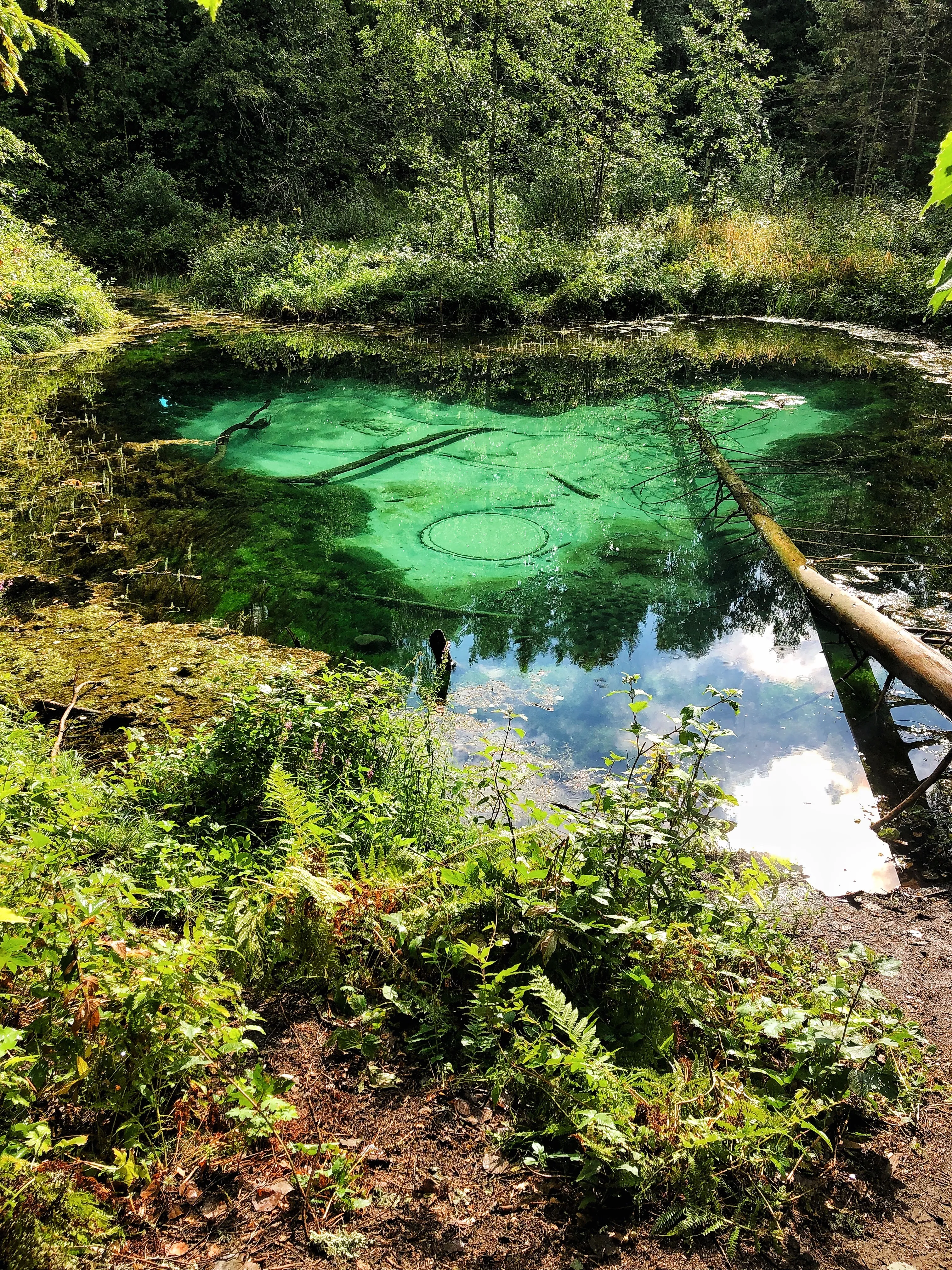 Сердце Земли