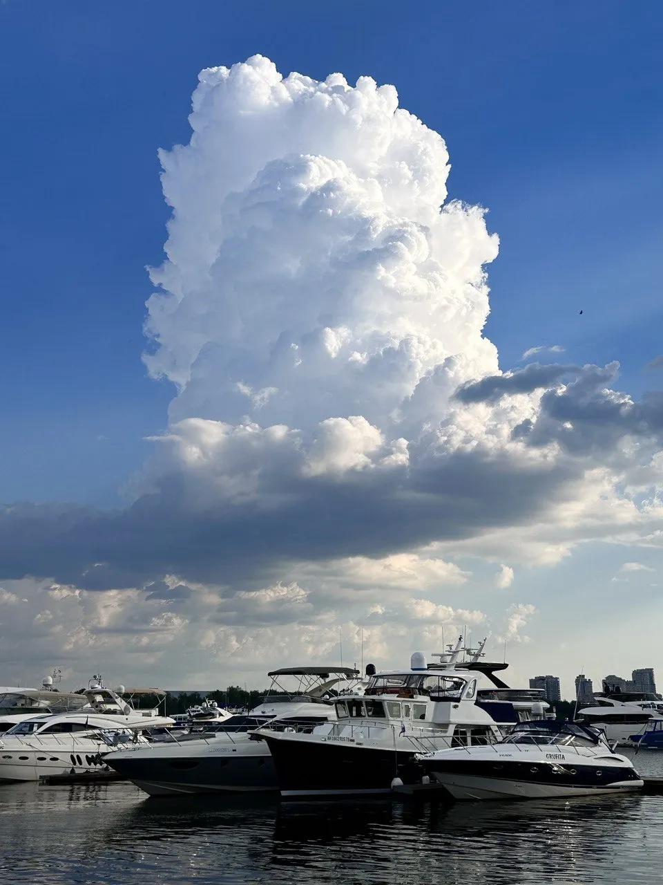 Летучий голландец