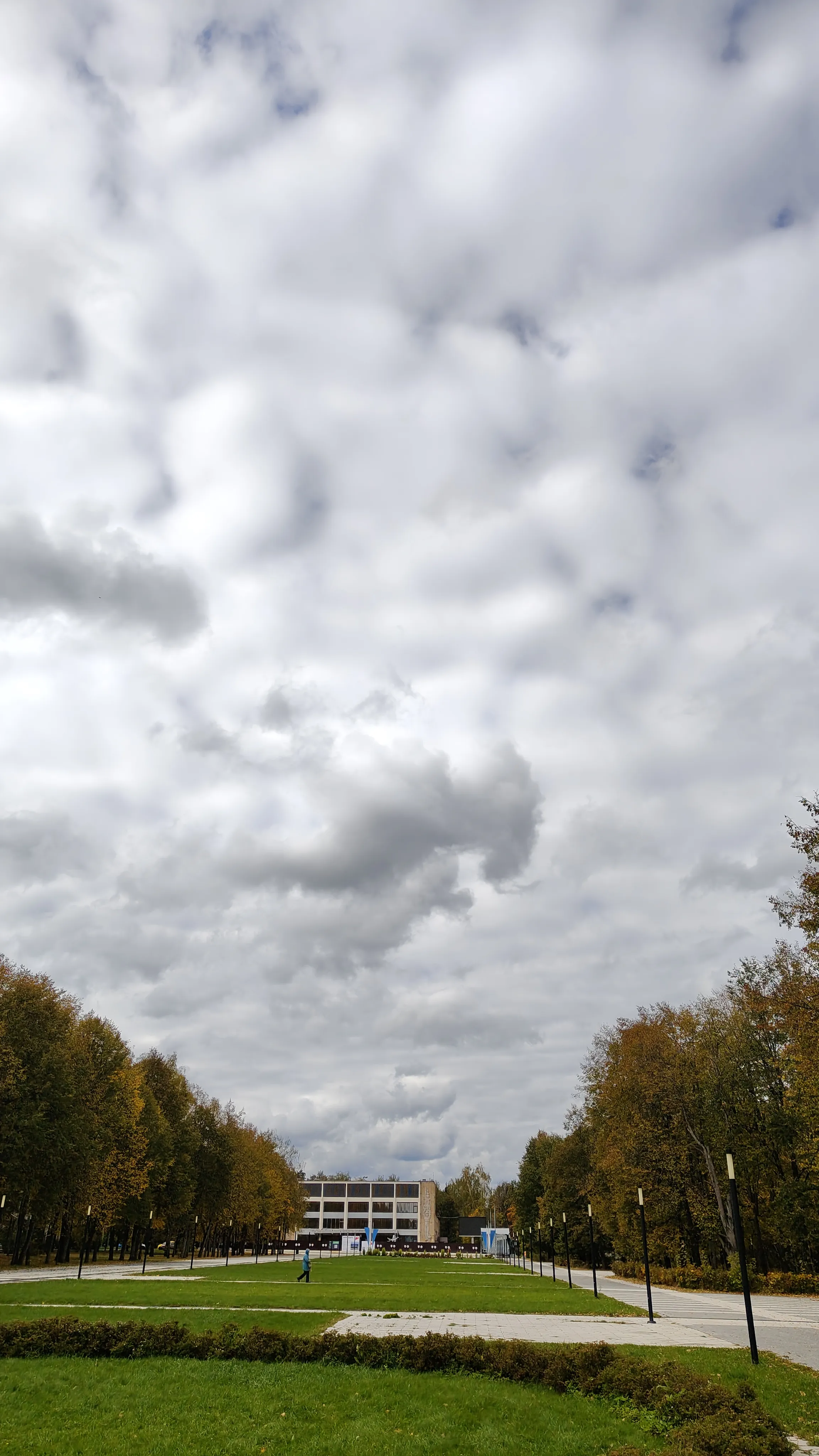 Небо над аллей Космонавтов. Звездный городок