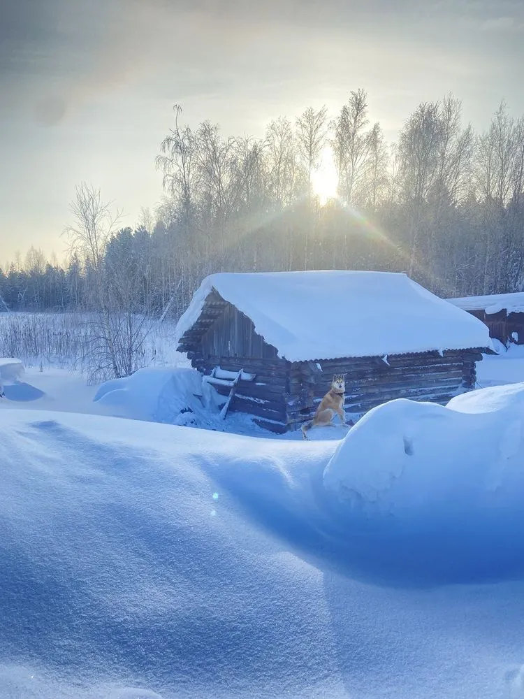 Зимняя сказка с верным другом