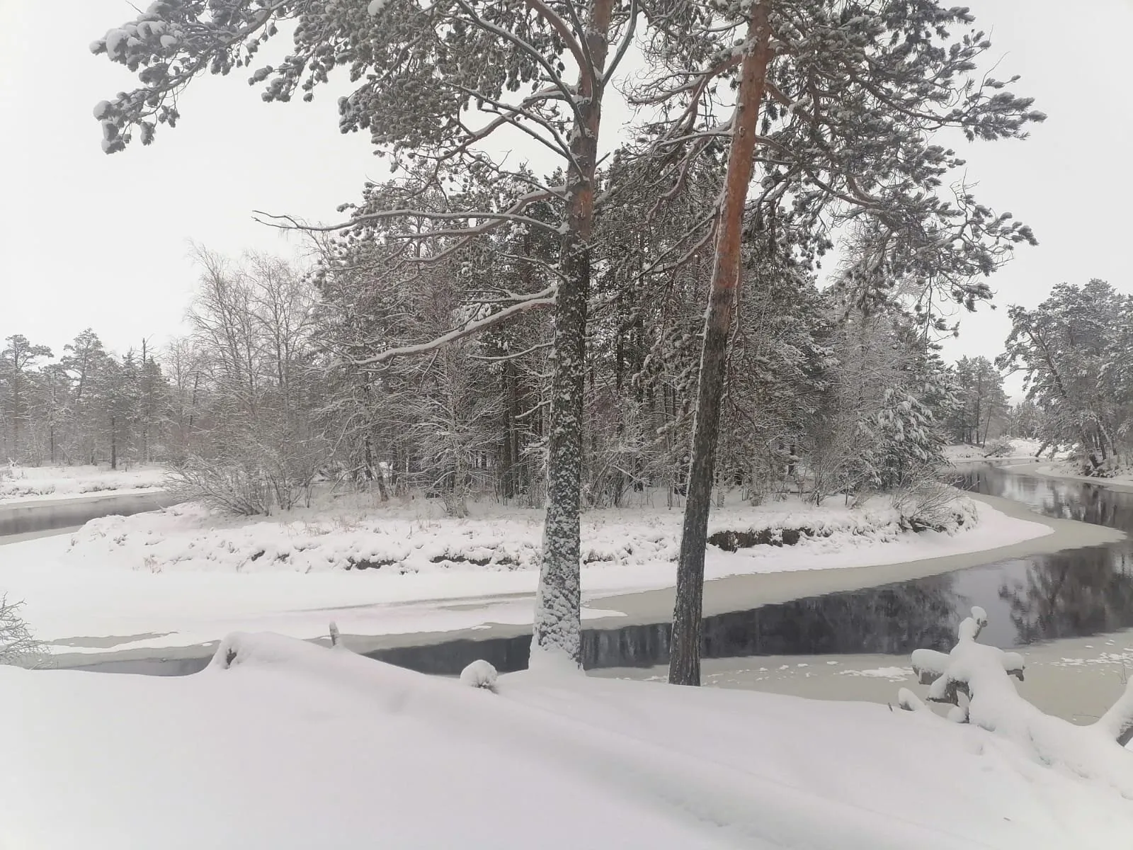 Зимняя река в снежном плену