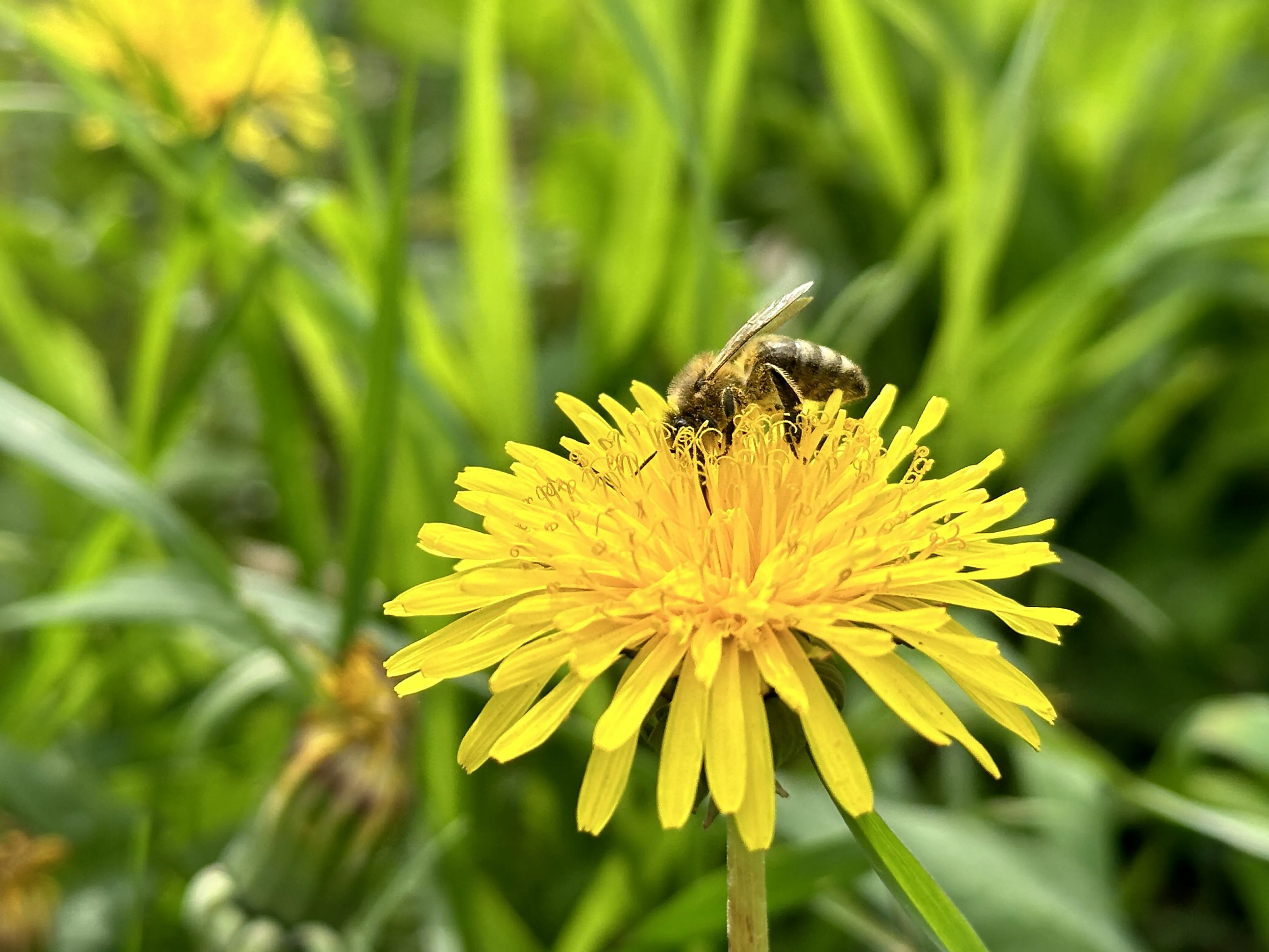 Застывший миг вечного движения!