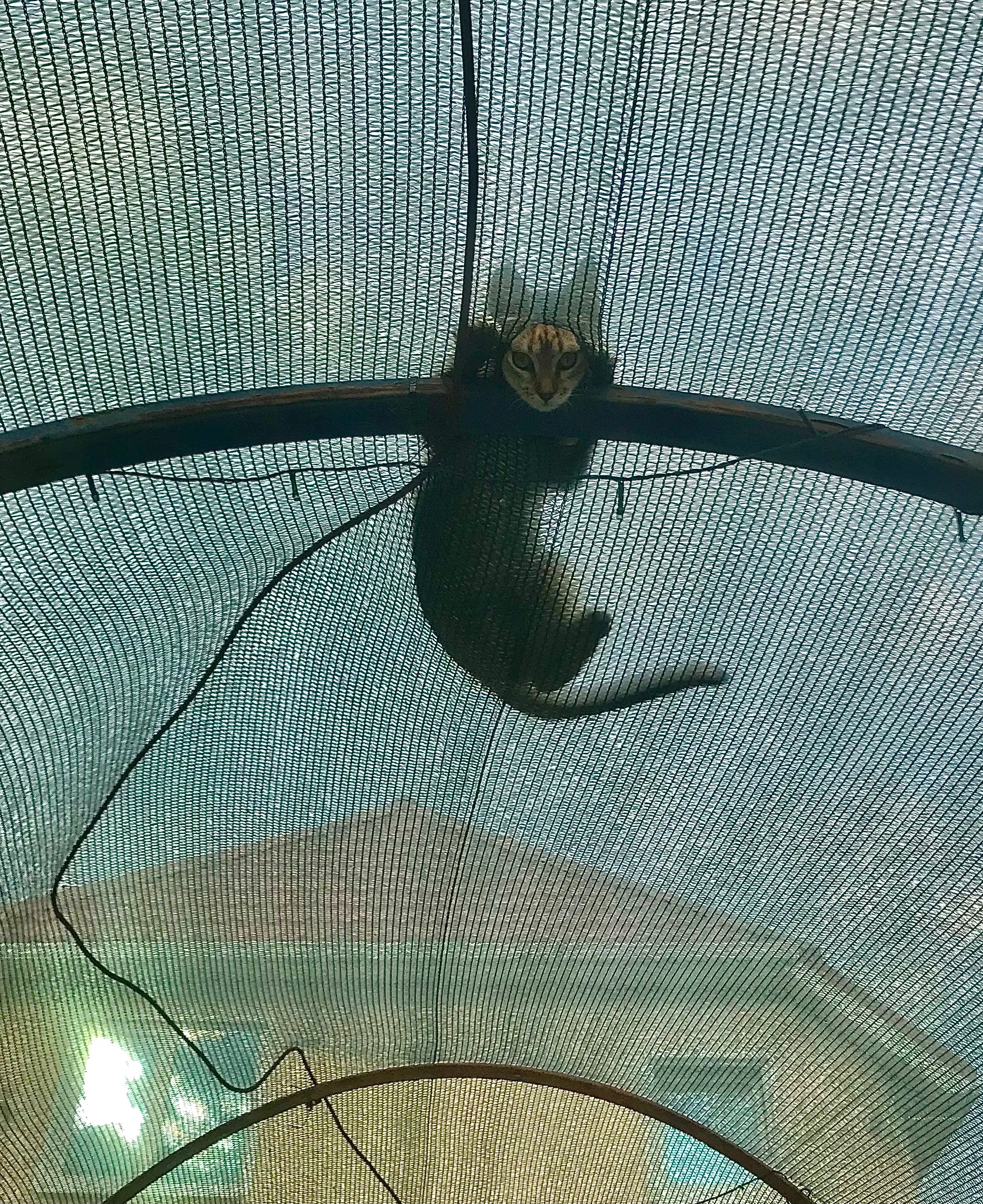 Оп… А я тута