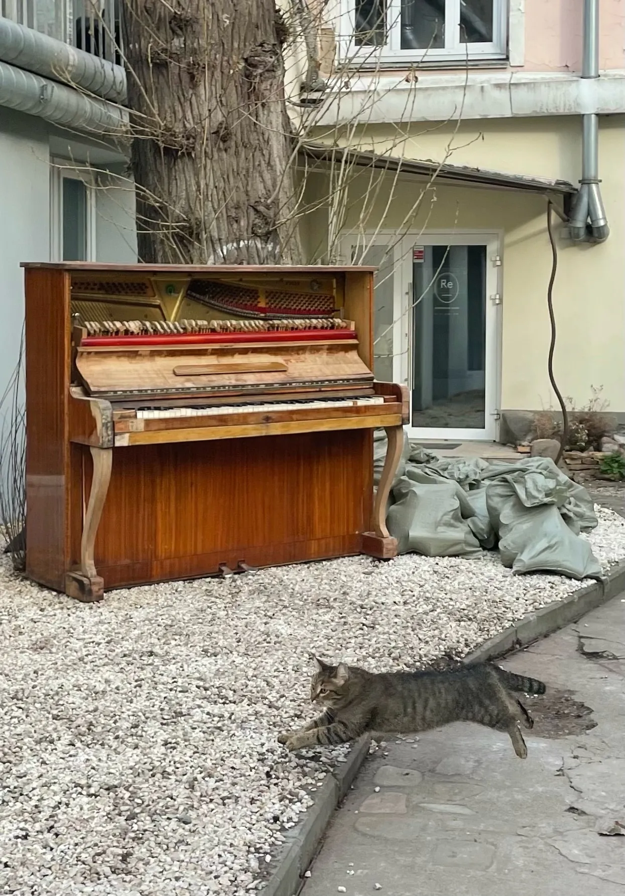 Между клавишей и землей