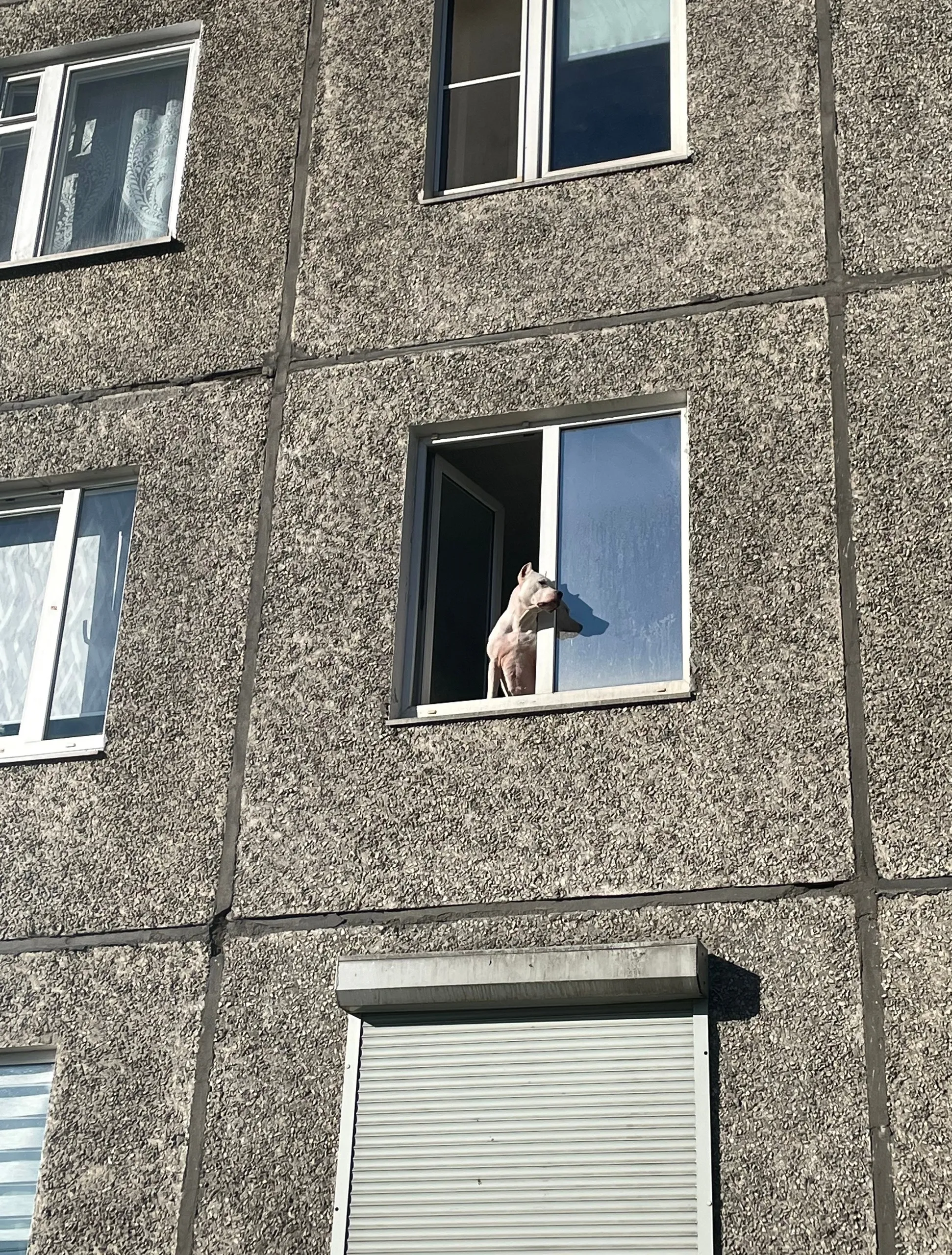 Полярный день